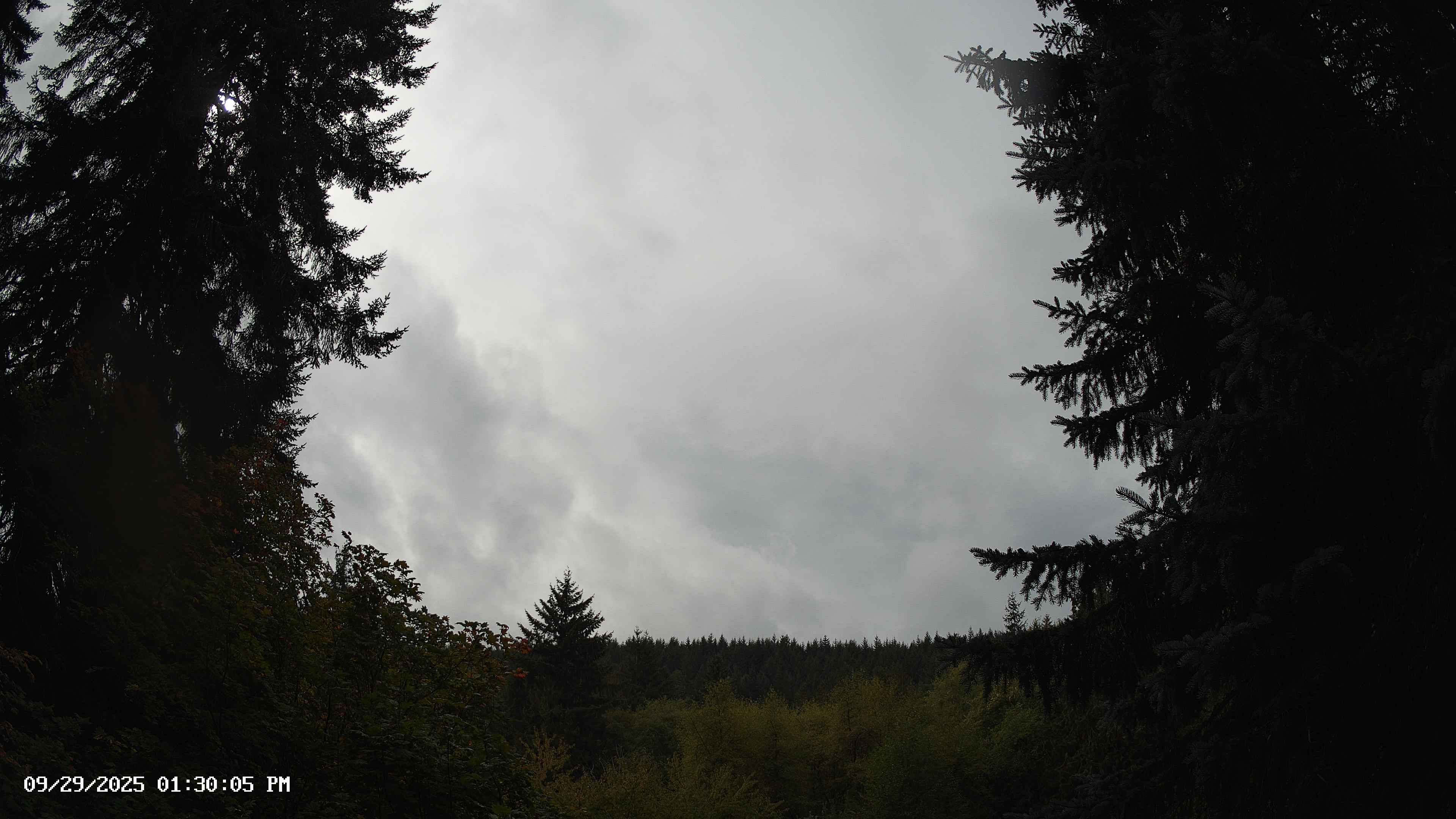 Pacific Northwest skyline timelapse on Sep 29, 2025 at 1:30 PM