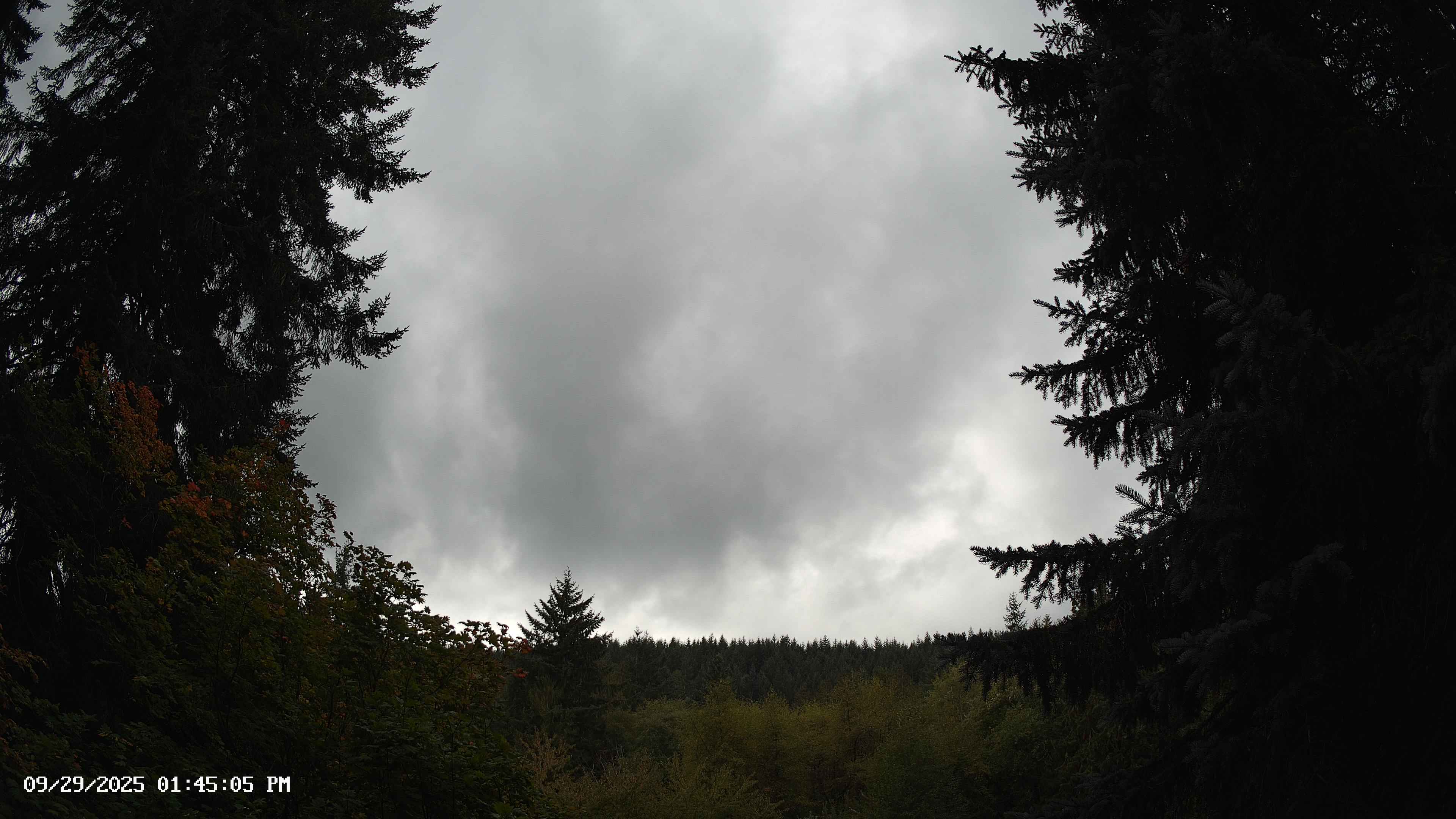 Pacific Northwest skyline timelapse on Sep 29, 2025 at 1:45 PM