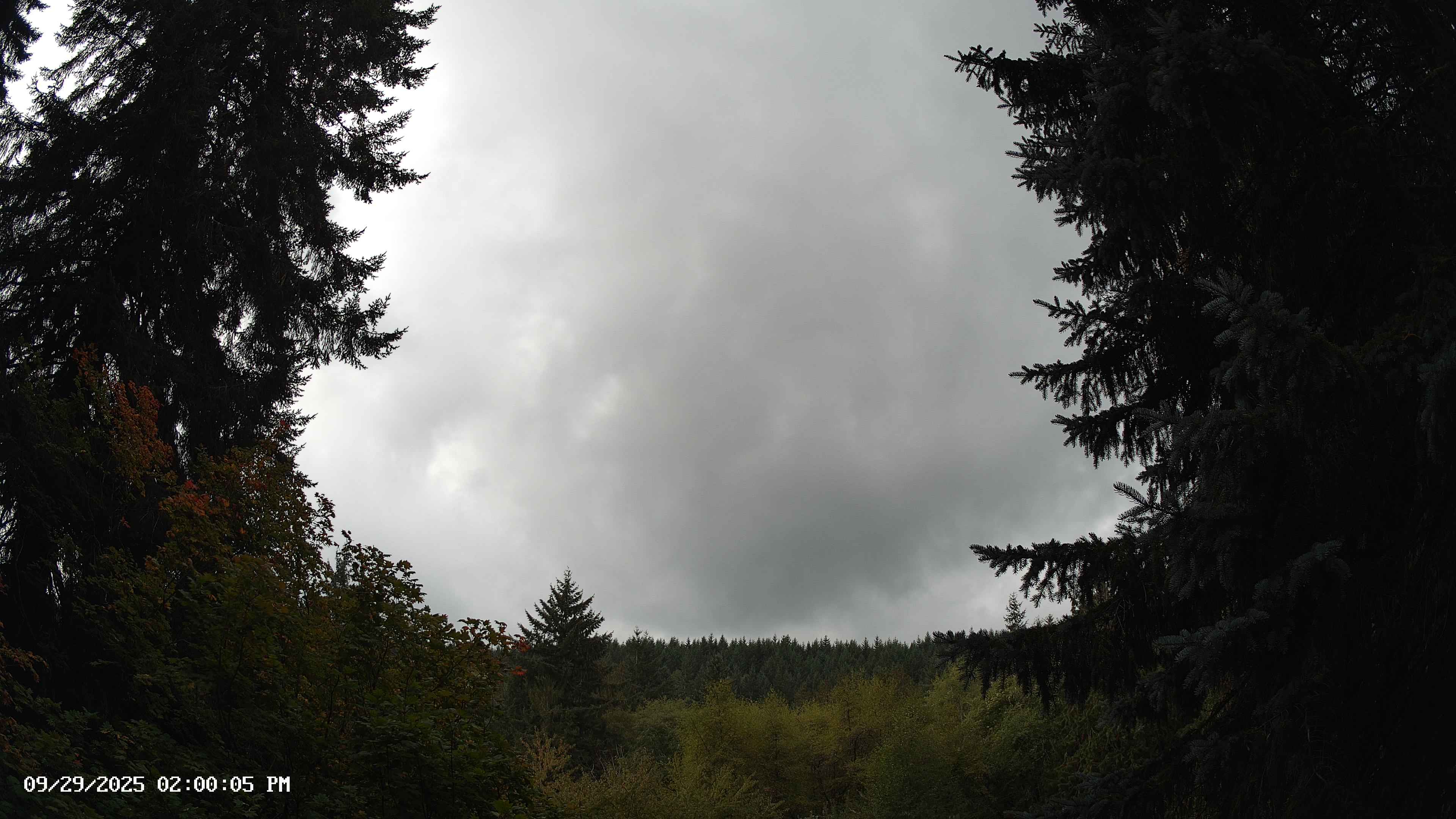 Pacific Northwest skyline timelapse on Sep 29, 2025 at 2:00 PM