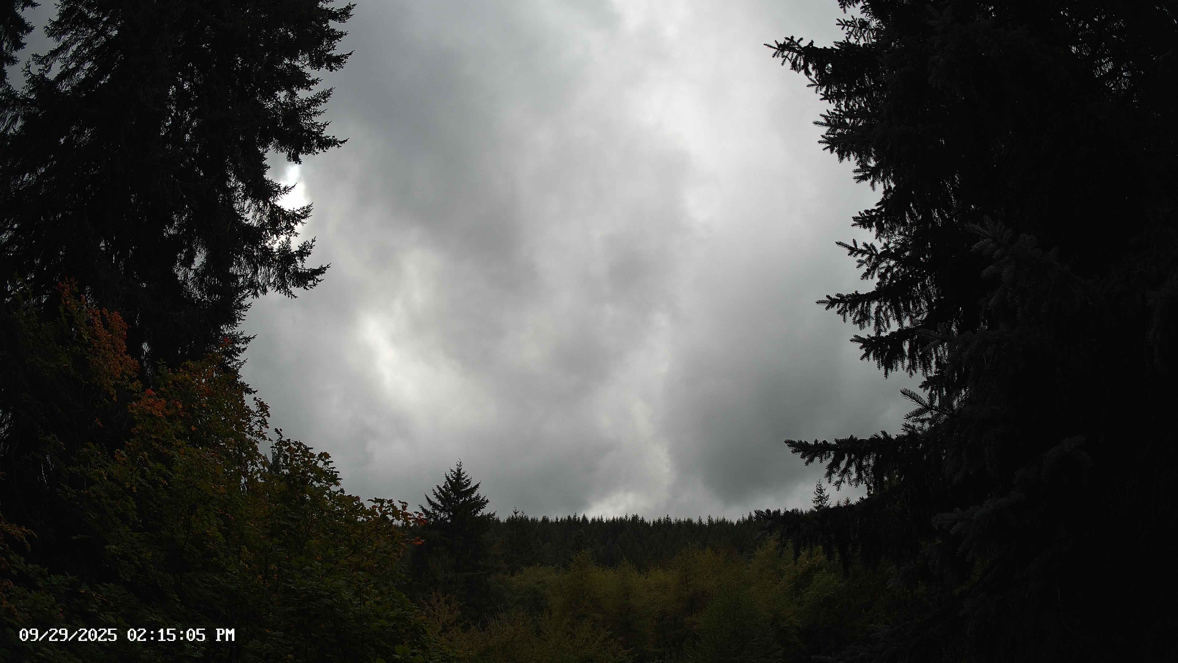 Pacific Northwest skyline timelapse on Sep 29, 2025 at 2:15 PM