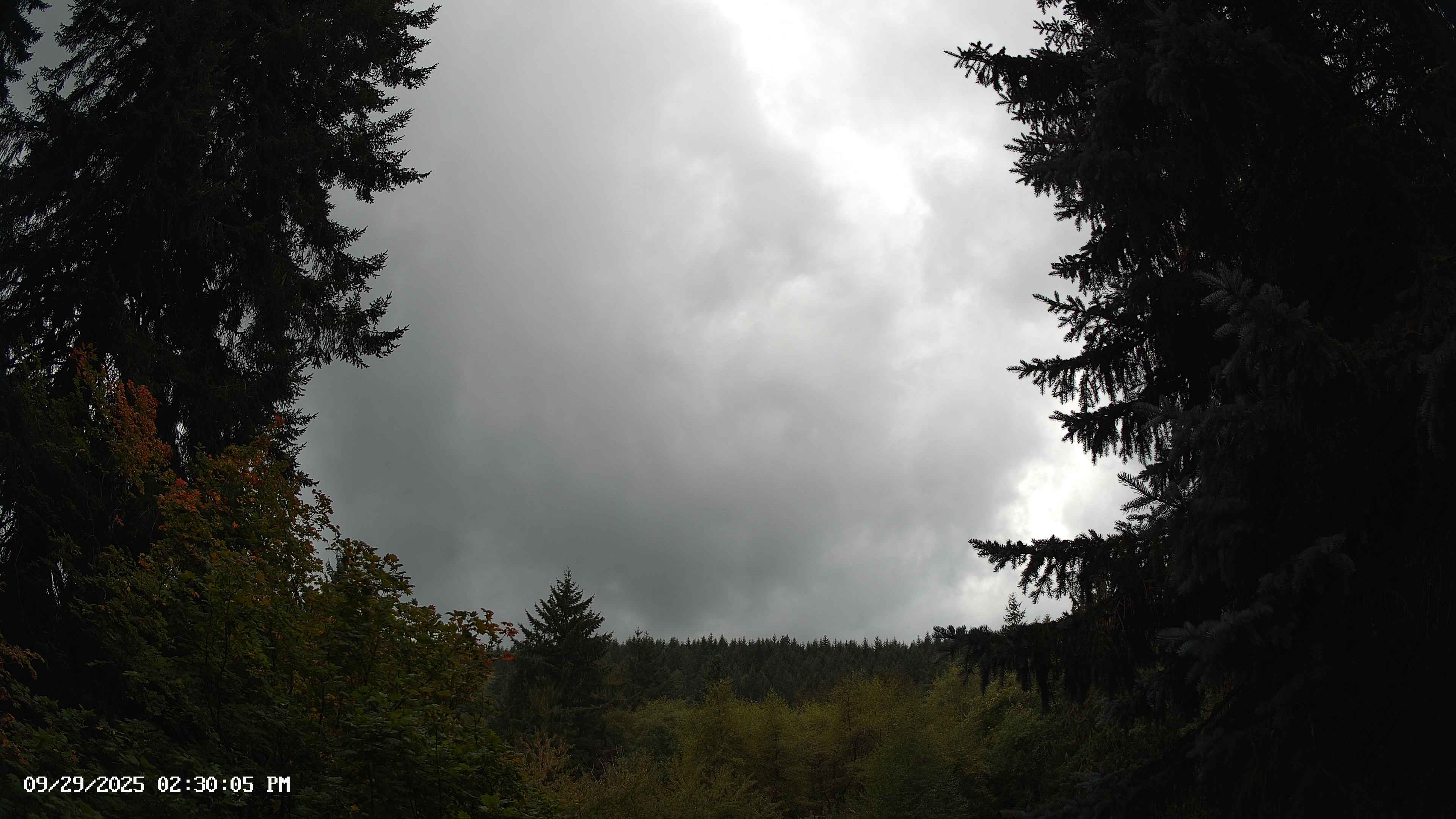 Pacific Northwest skyline timelapse on Sep 29, 2025 at 2:30 PM