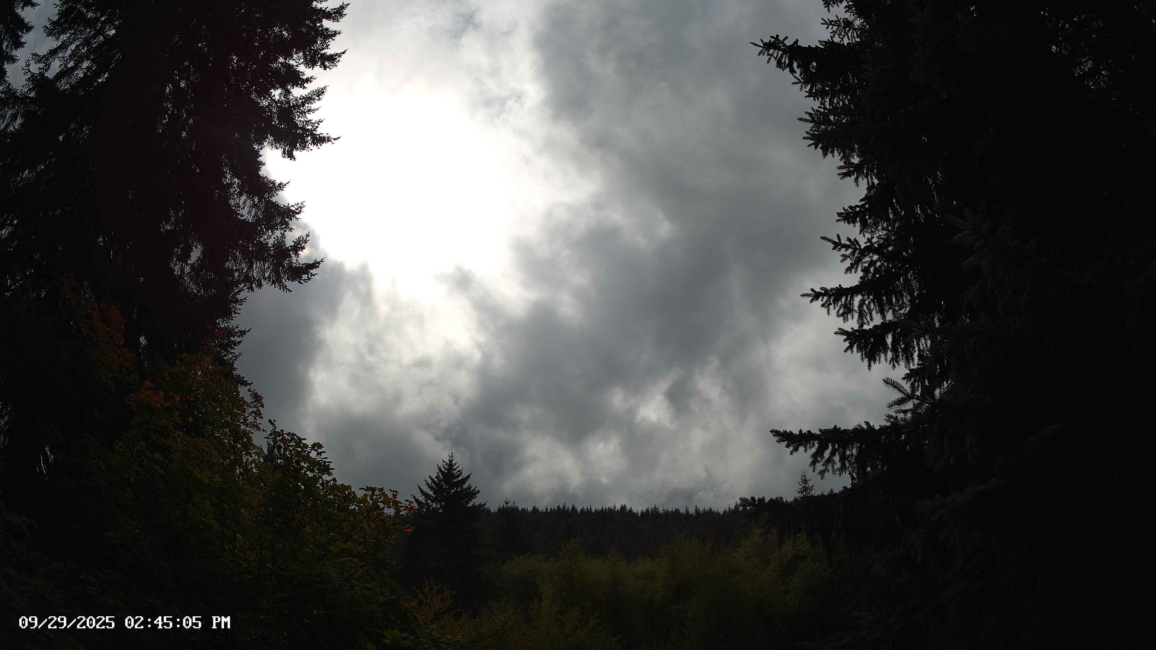 Pacific Northwest skyline timelapse on Sep 29, 2025 at 2:45 PM