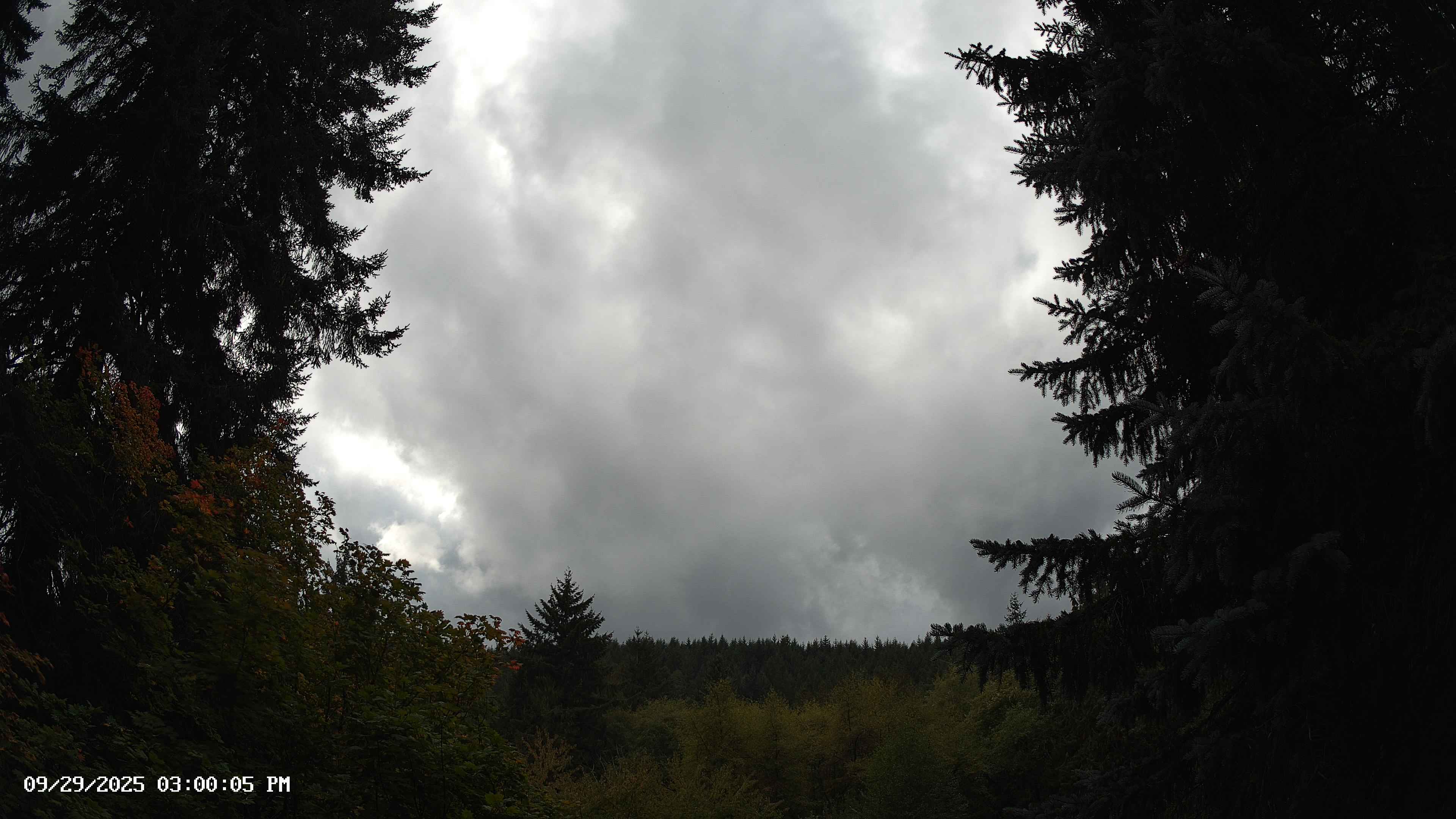 Pacific Northwest skyline timelapse on Sep 29, 2025 at 3:00 PM