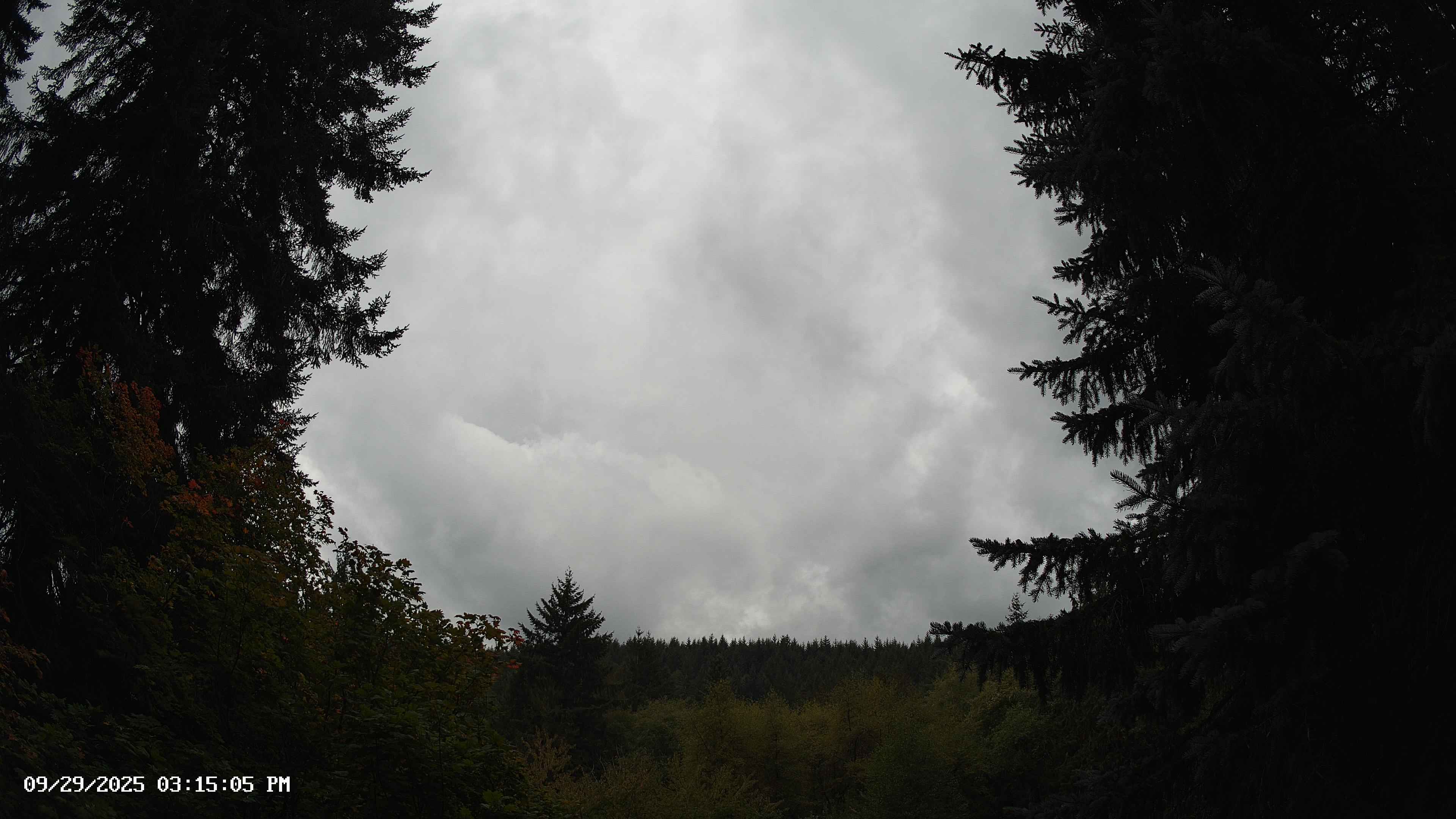 Pacific Northwest skyline timelapse on Sep 29, 2025 at 3:15 PM