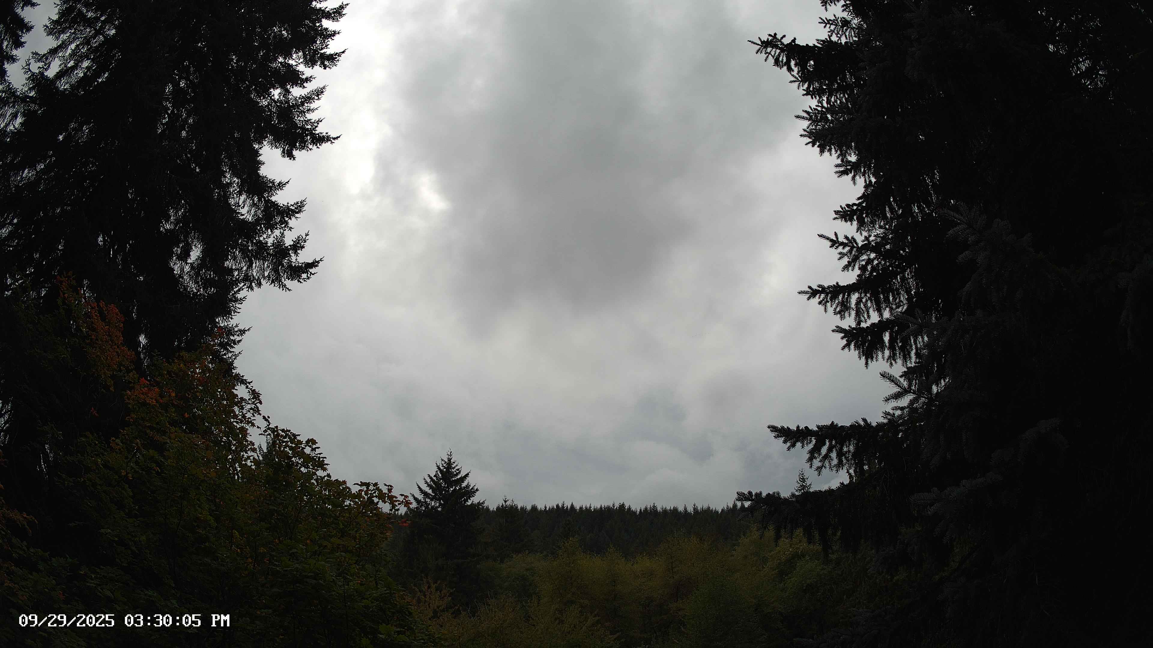 Pacific Northwest skyline timelapse on Sep 29, 2025 at 3:30 PM