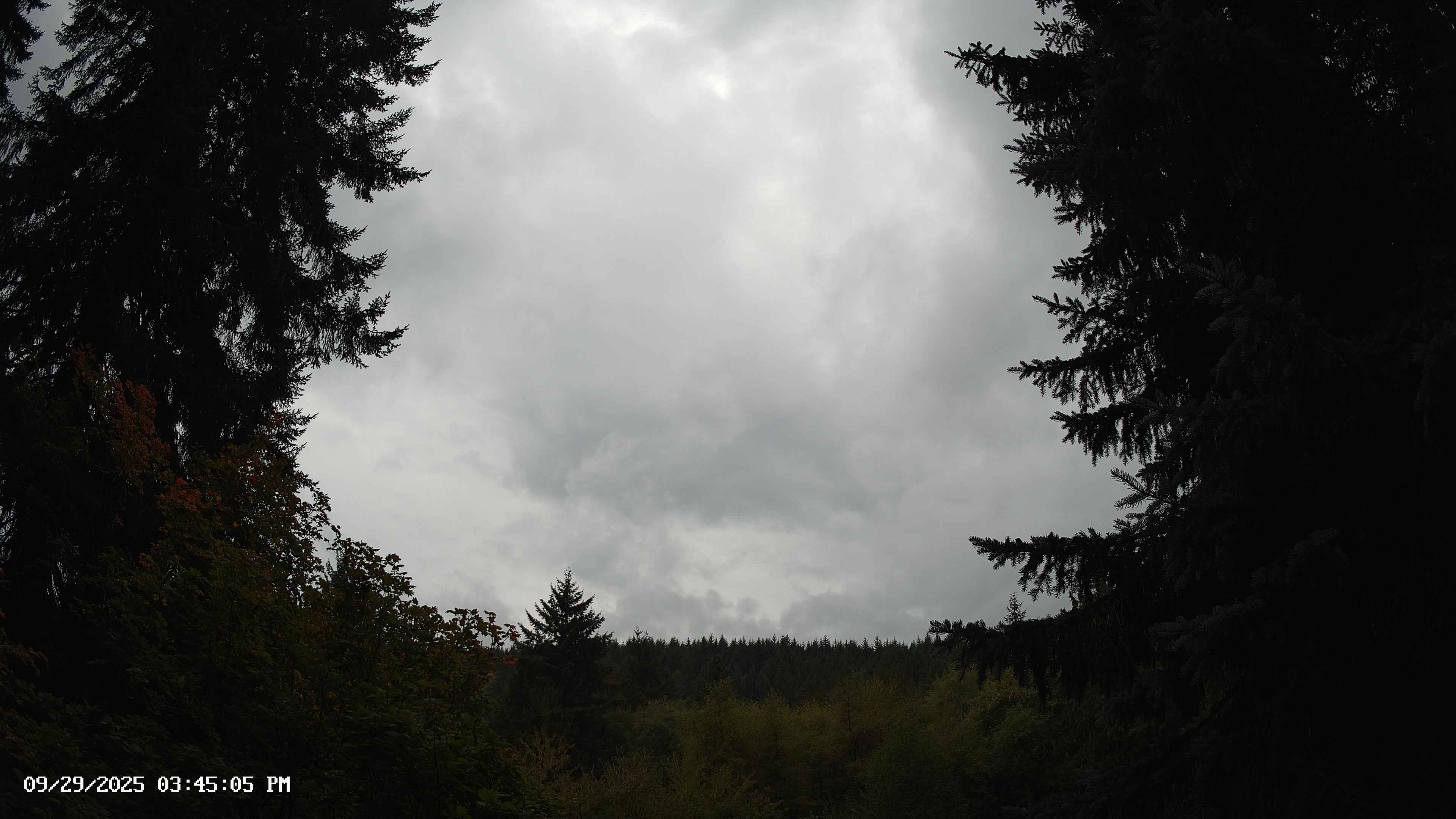 Pacific Northwest skyline timelapse on Sep 29, 2025 at 3:45 PM