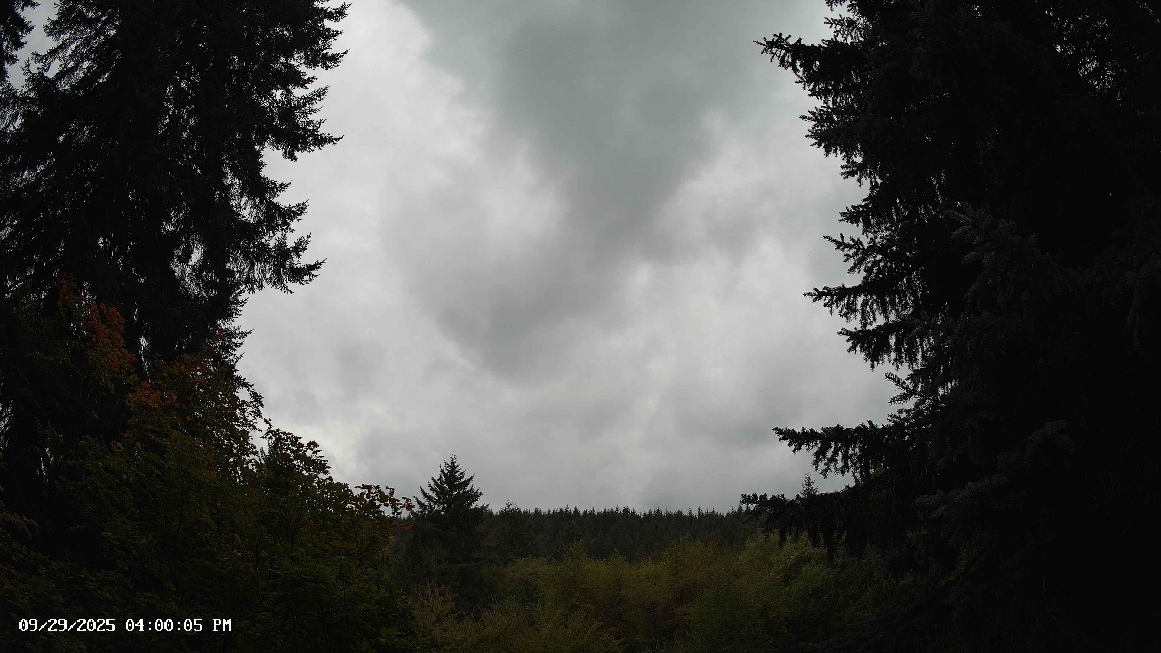 Pacific Northwest skyline timelapse on Sep 29, 2025 at 4:00 PM