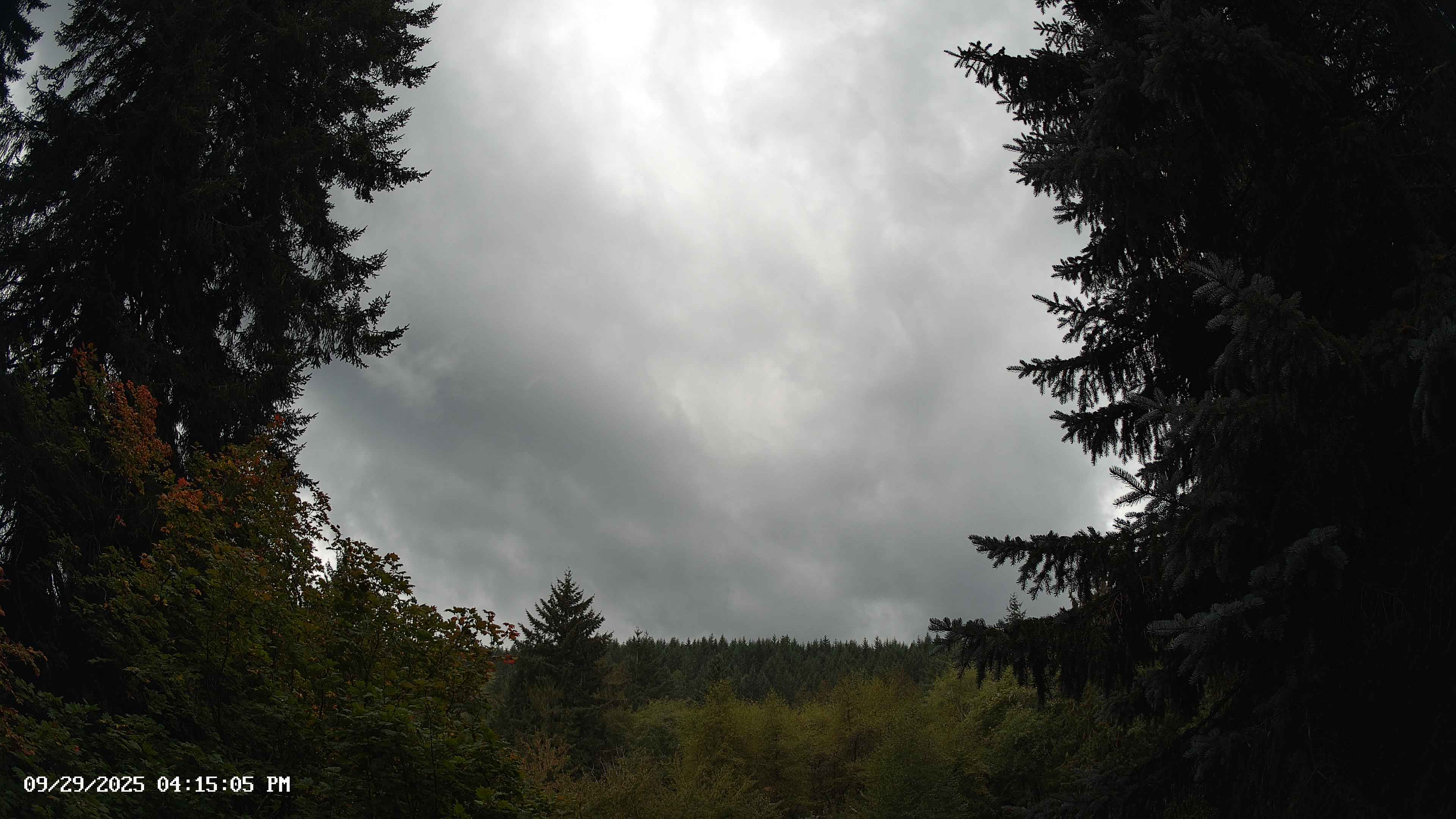 Pacific Northwest skyline timelapse on Sep 29, 2025 at 4:15 PM