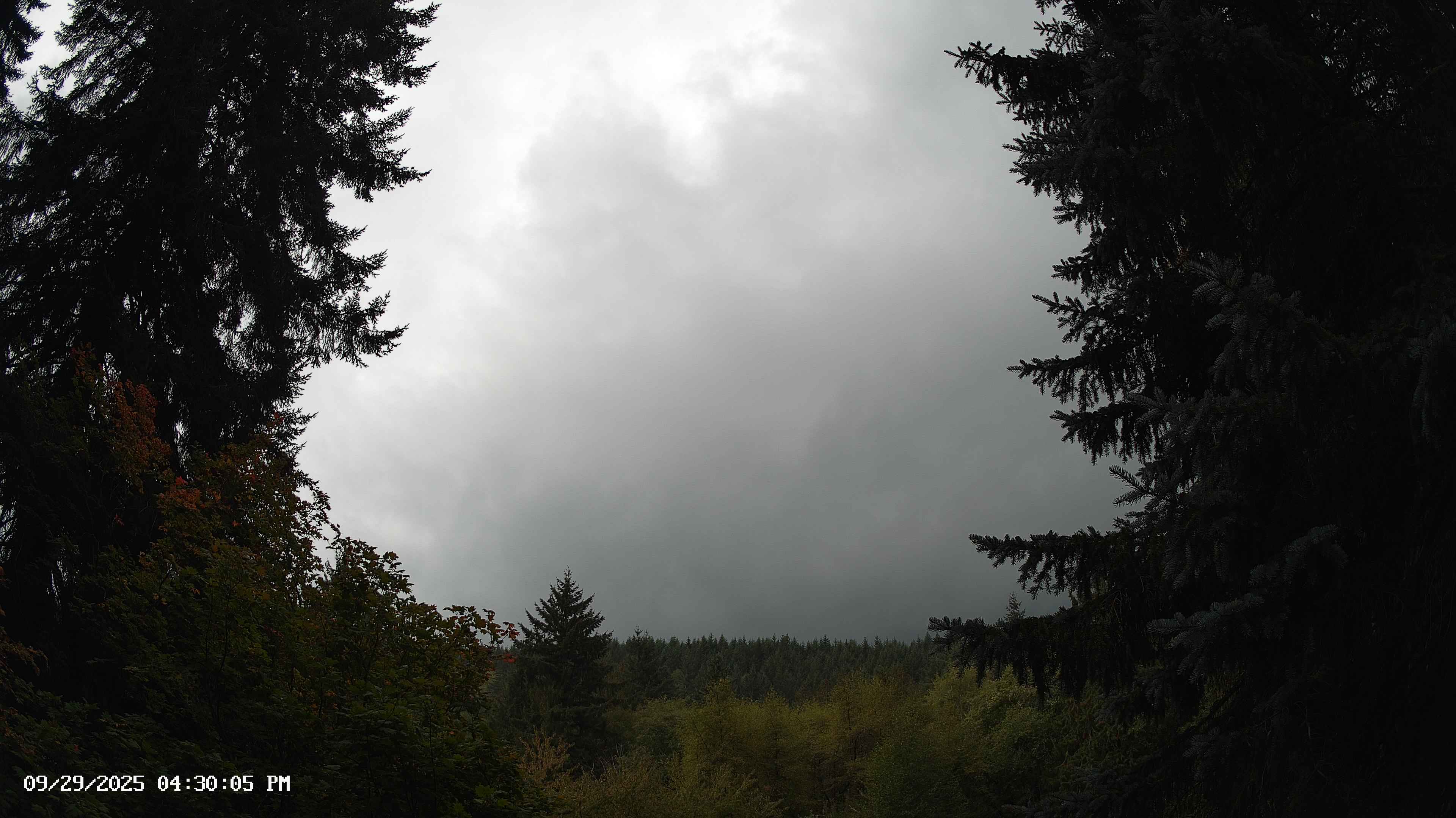 Pacific Northwest skyline timelapse on Sep 29, 2025 at 4:30 PM