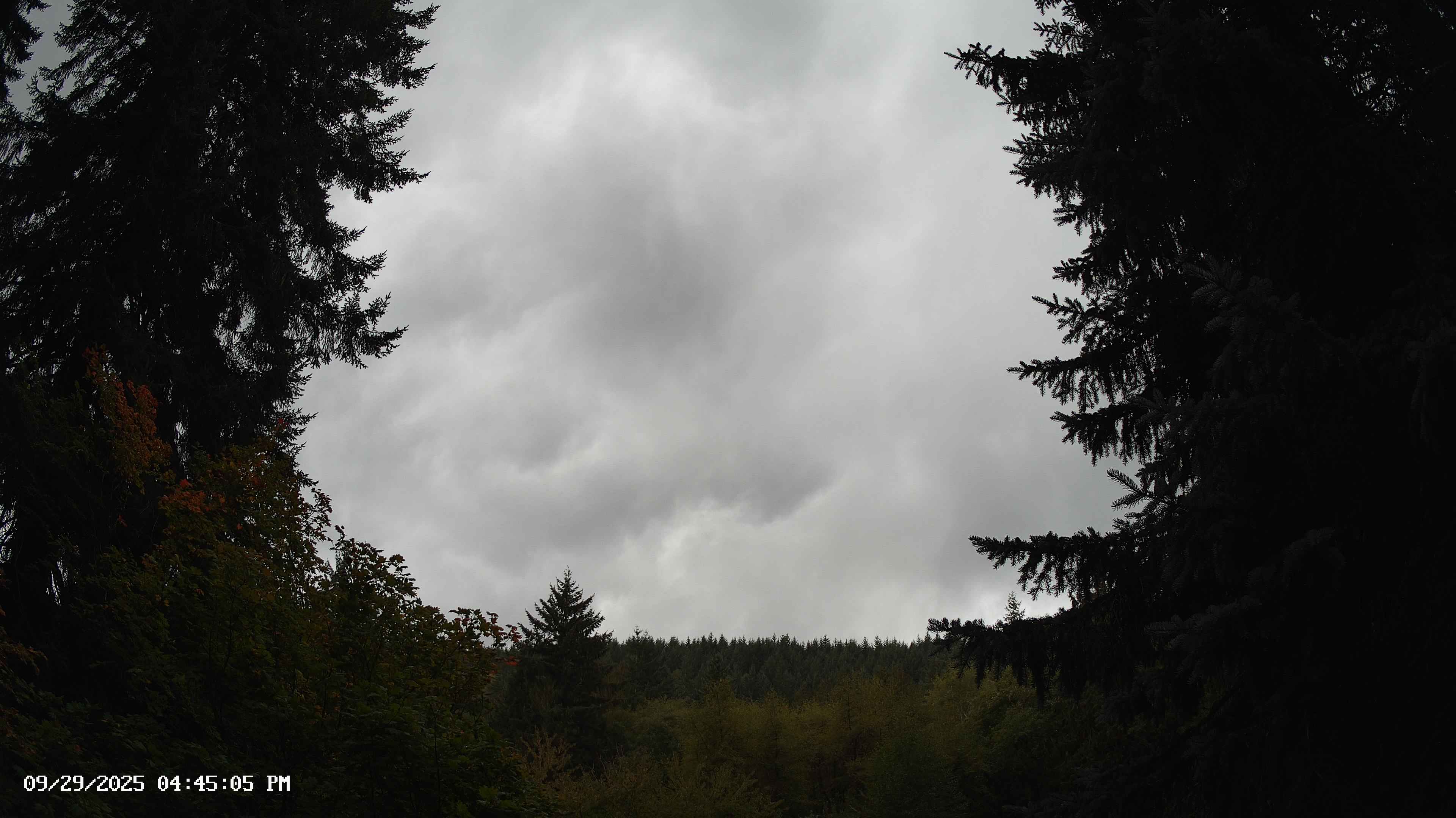 Pacific Northwest skyline timelapse on Sep 29, 2025 at 4:45 PM