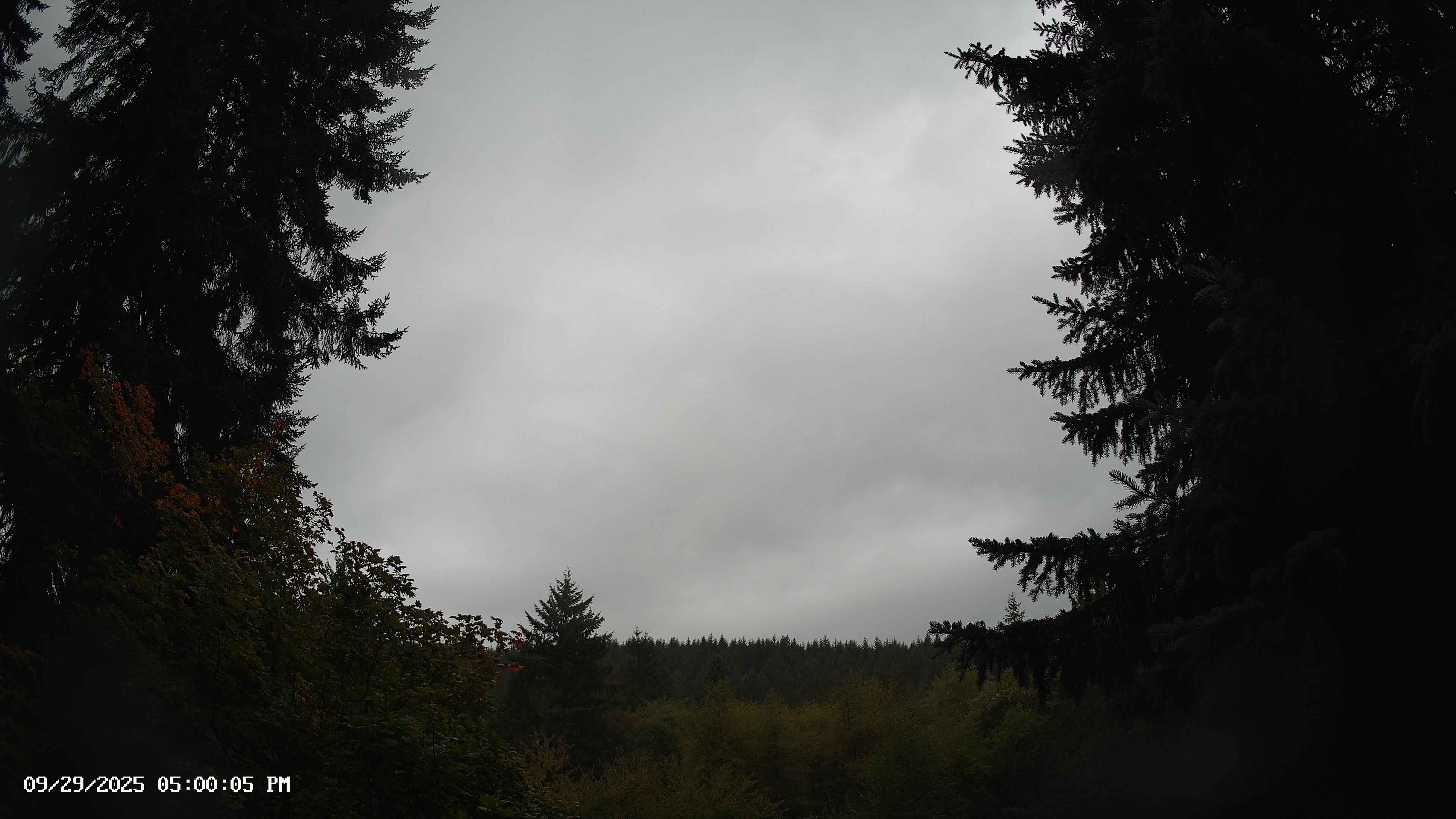Pacific Northwest skyline timelapse on Sep 29, 2025 at 5:00 PM