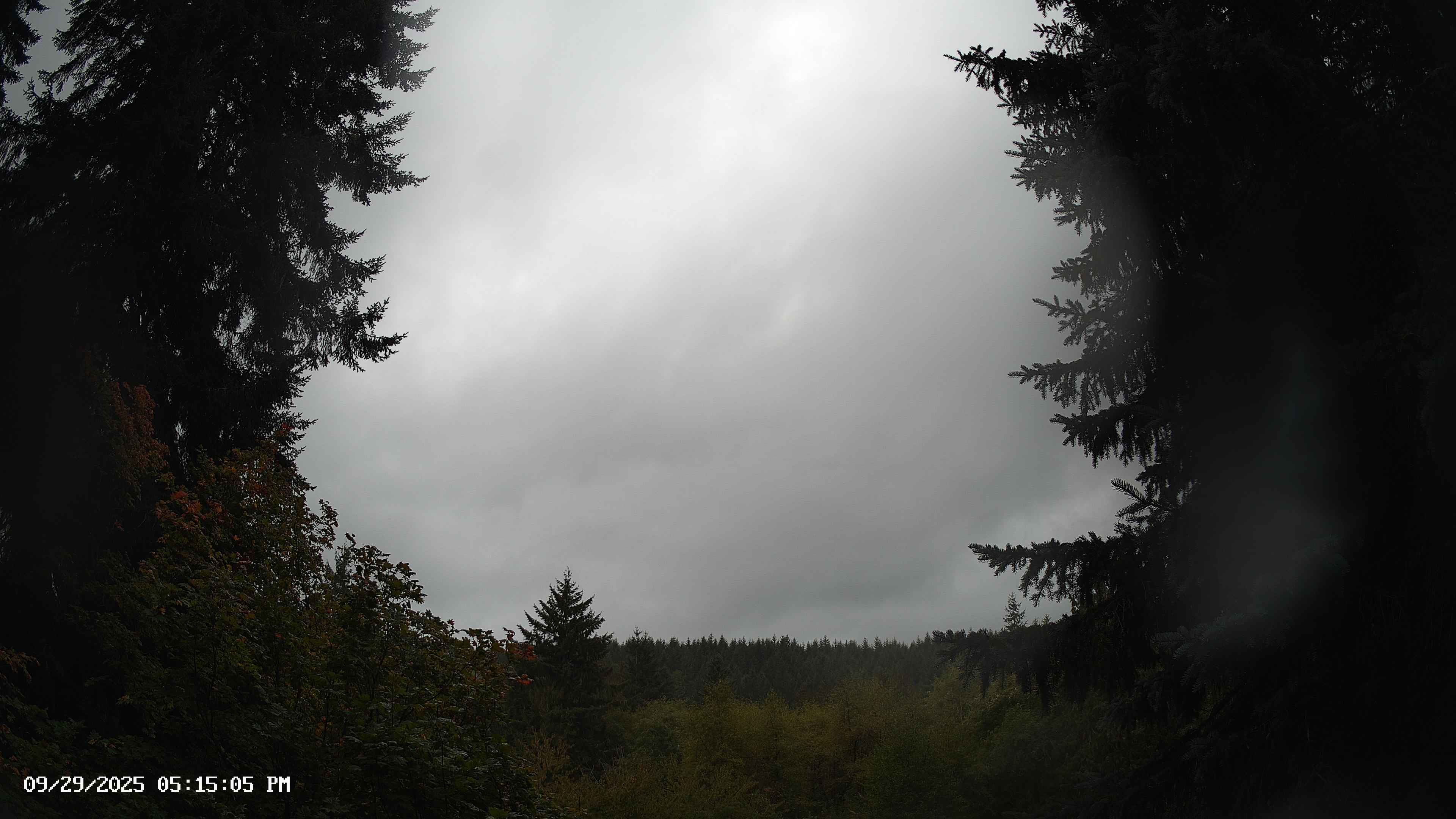 Pacific Northwest skyline timelapse on Sep 29, 2025 at 5:15 PM
