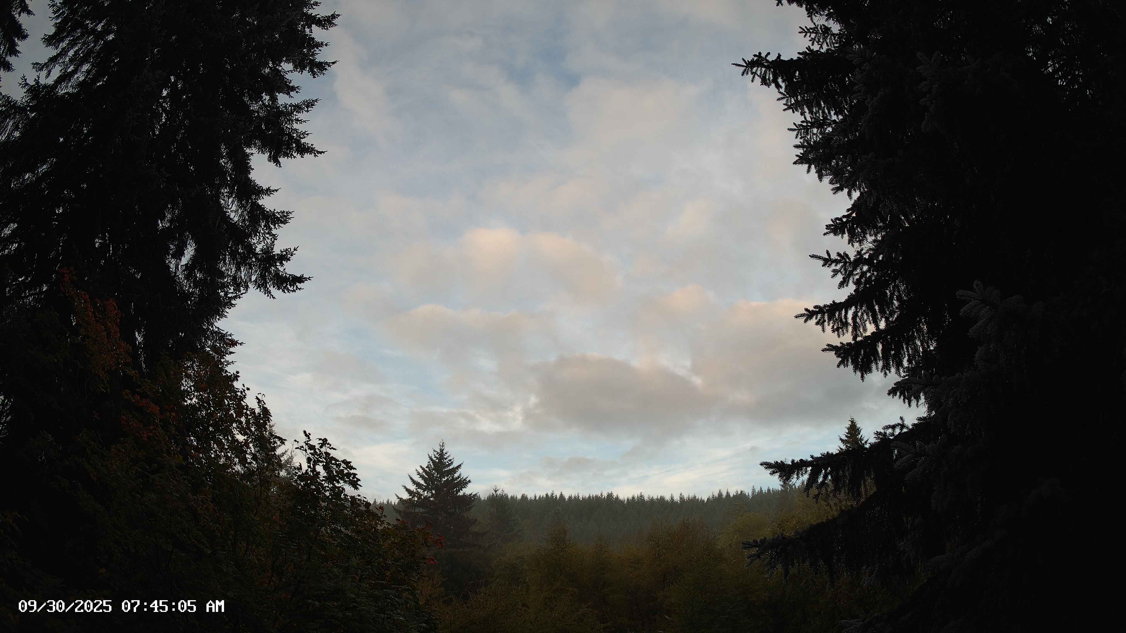 Pacific Northwest skyline timelapse on Sep 30, 2025 at 7:45 AM