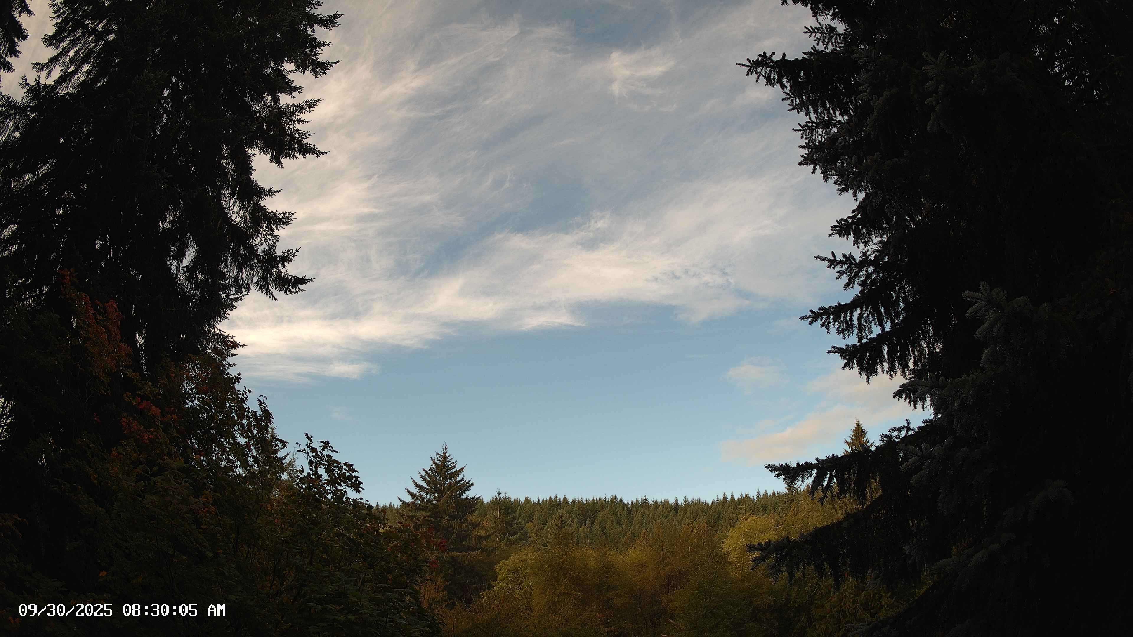 Pacific Northwest skyline timelapse on Sep 30, 2025 at 8:30 AM