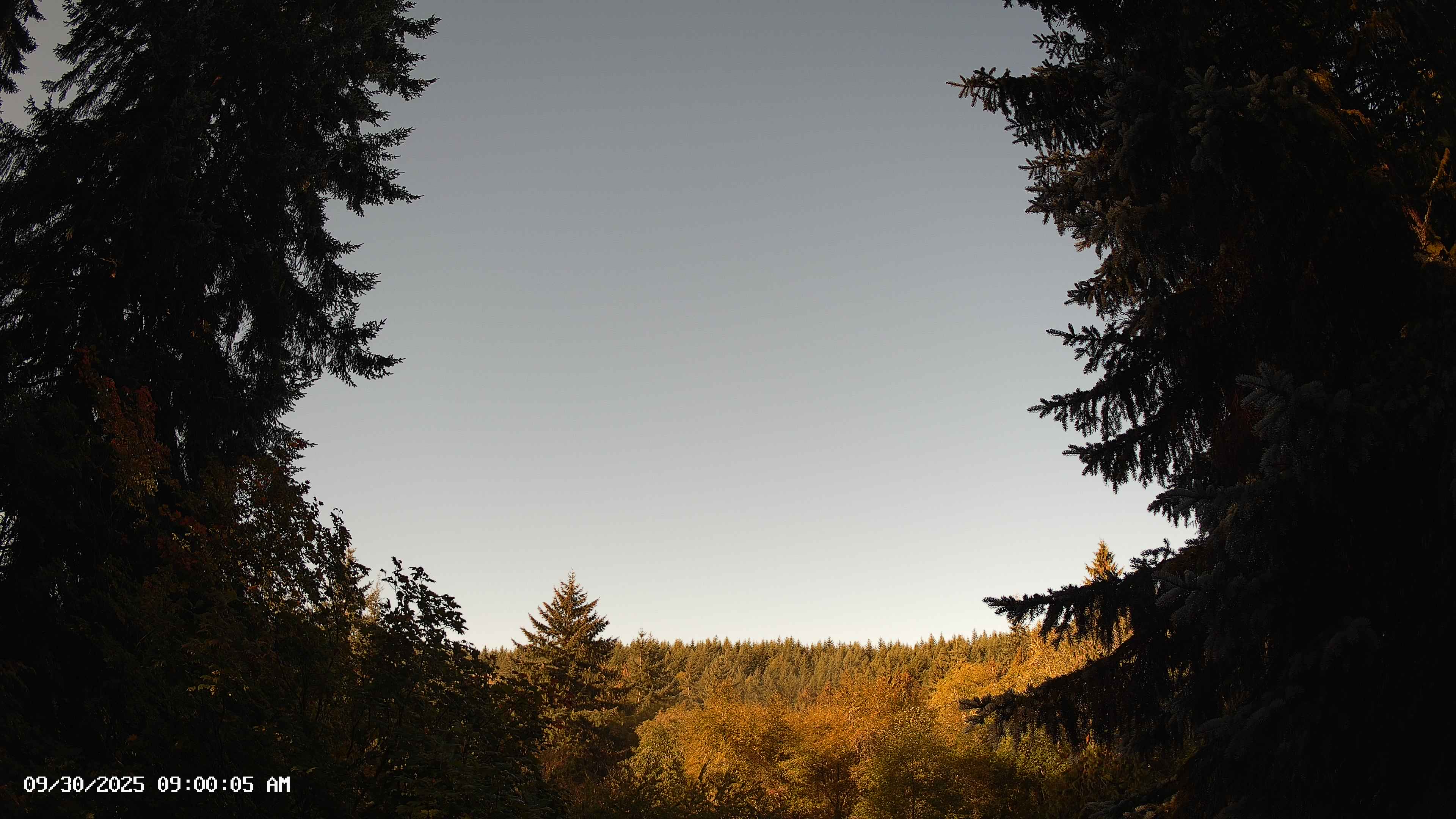 Pacific Northwest skyline timelapse on Sep 30, 2025 at 9:00 AM
