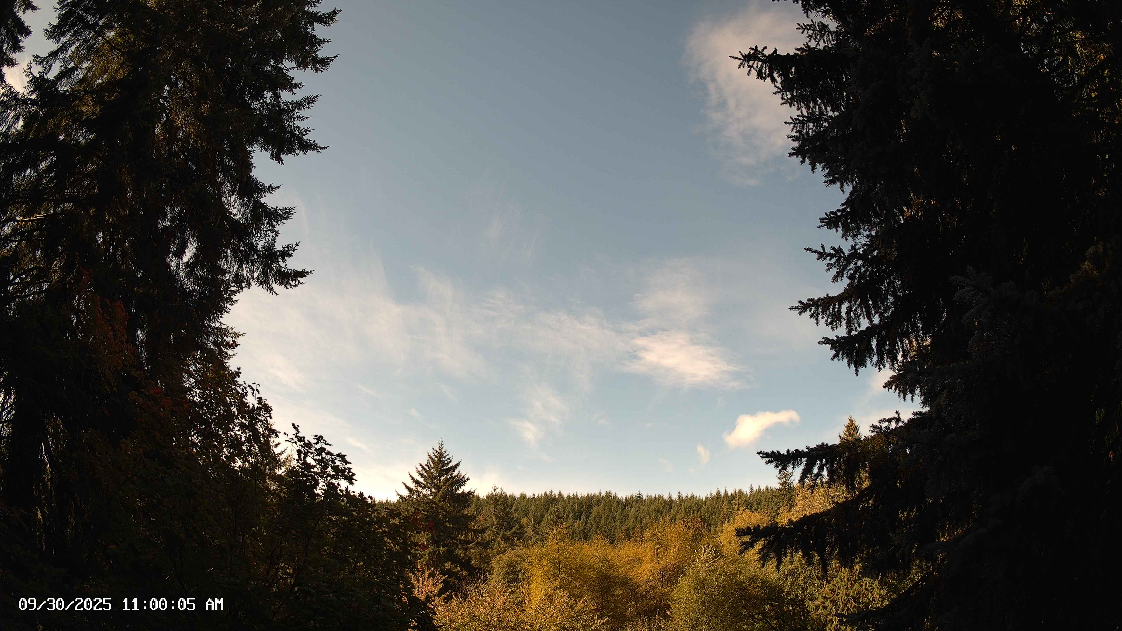 Pacific Northwest skyline timelapse on Sep 30, 2025 at 11:00 AM