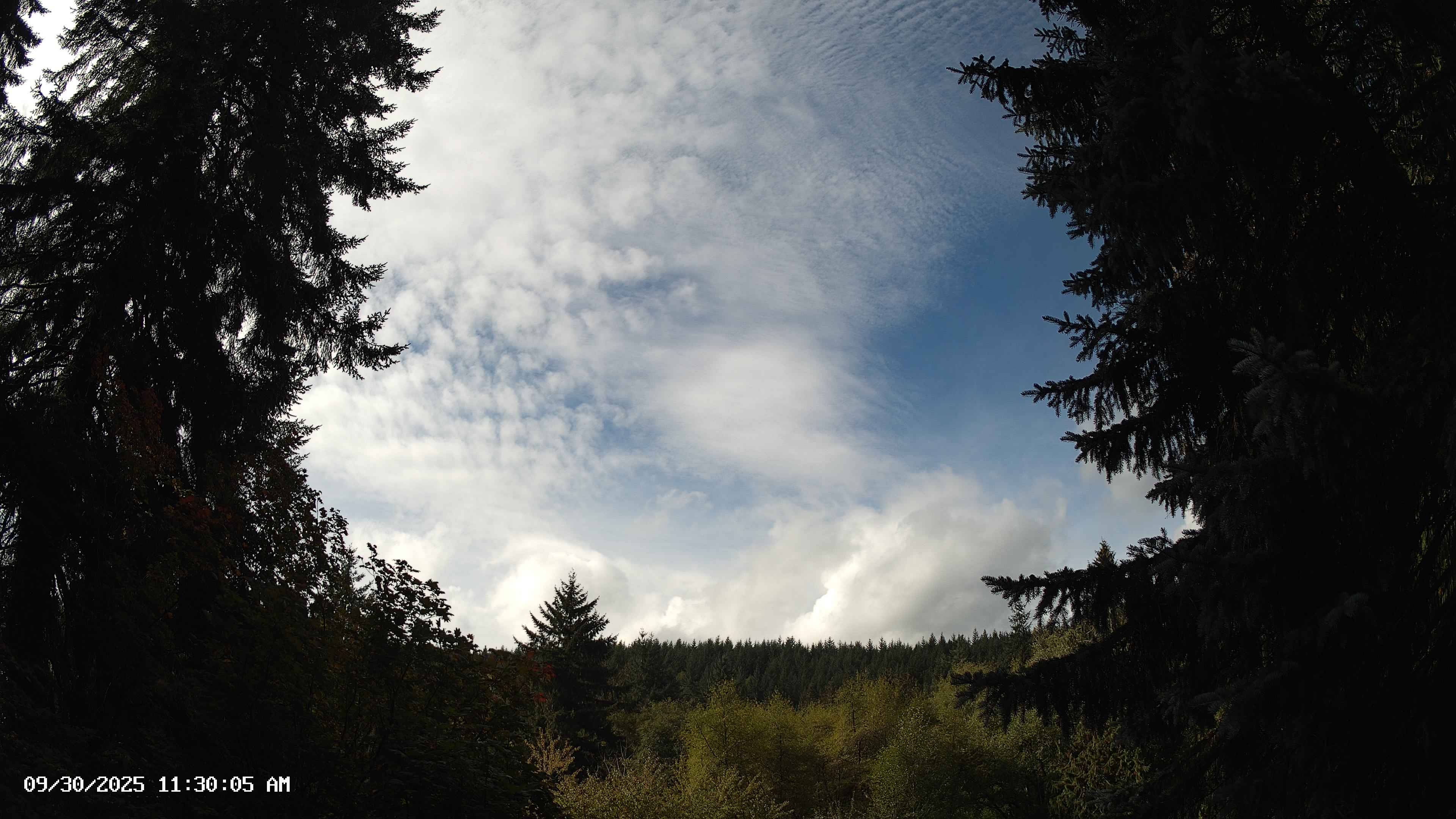 Pacific Northwest skyline timelapse on Sep 30, 2025 at 11:30 AM