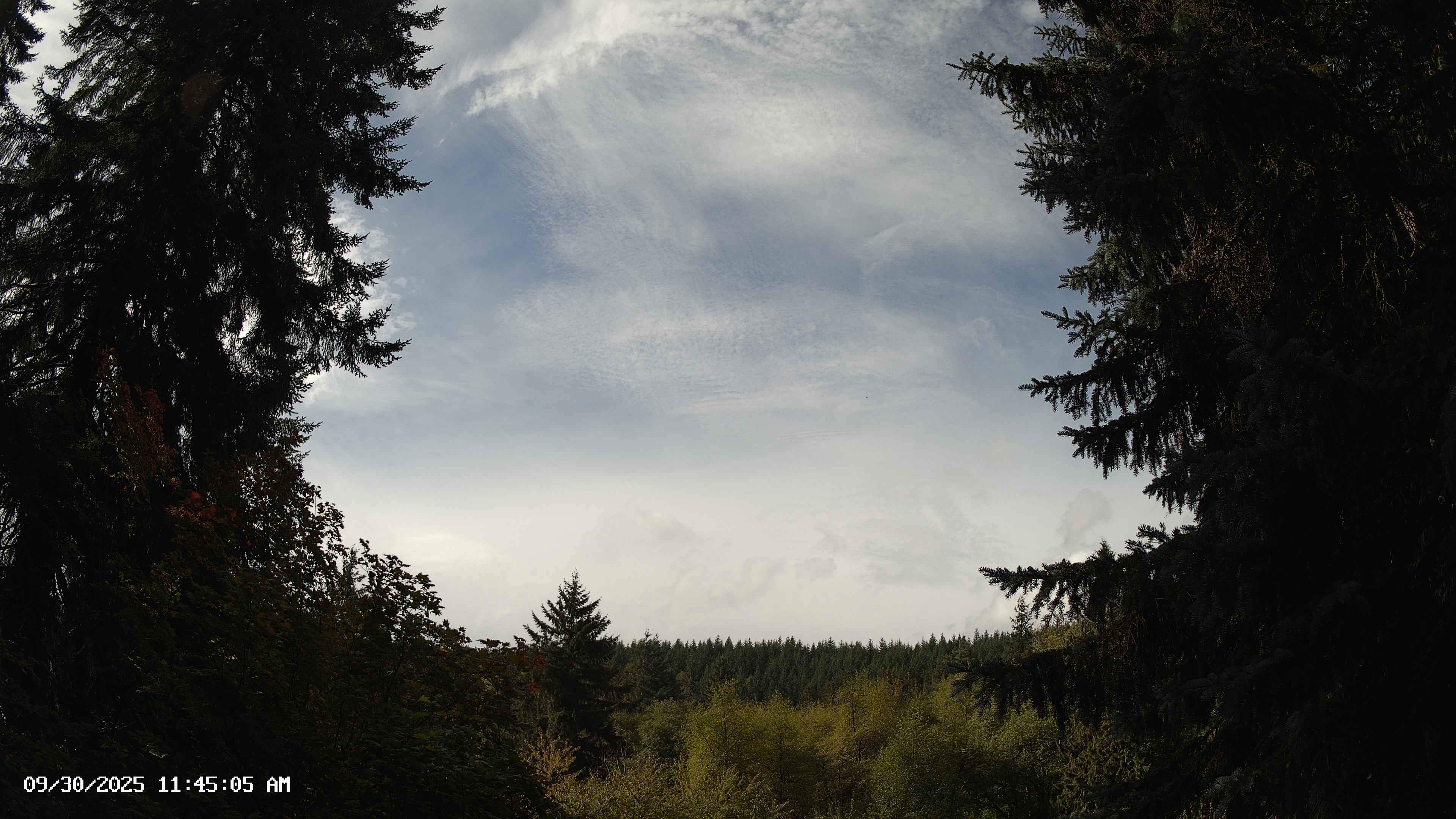 Pacific Northwest skyline timelapse on Sep 30, 2025 at 11:45 AM