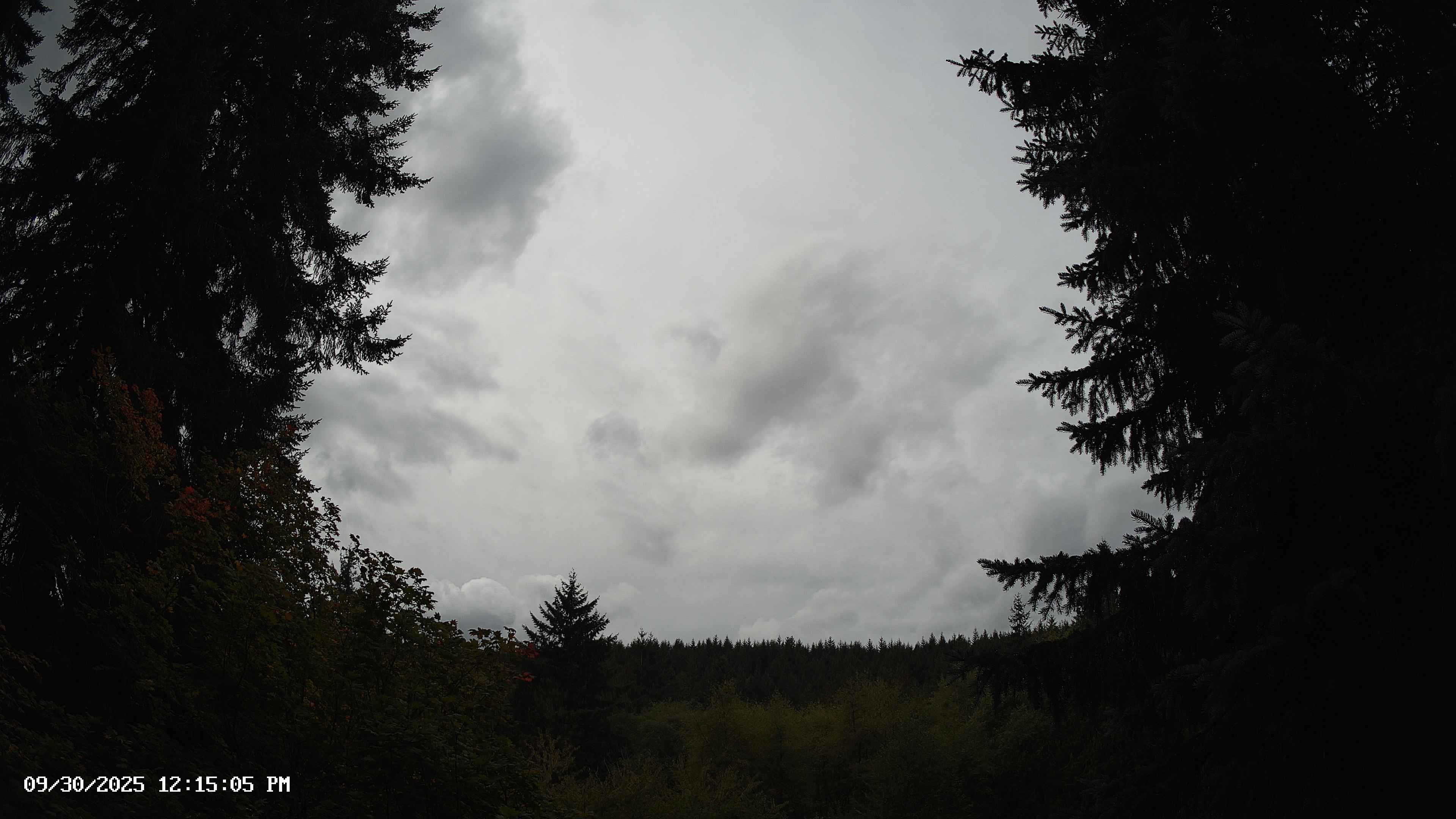 Pacific Northwest skyline timelapse on Sep 30, 2025 at 12:15 PM
