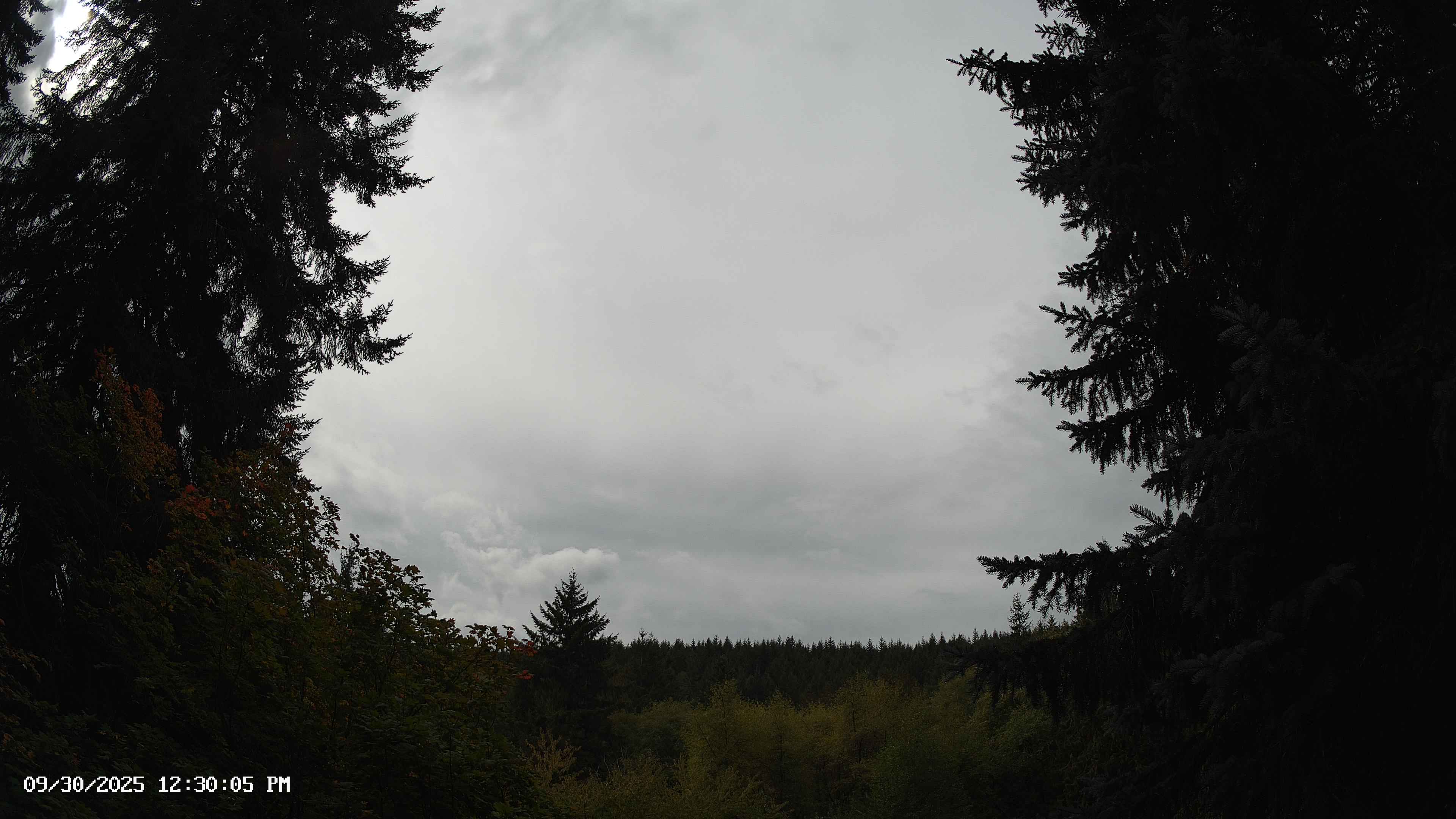 Pacific Northwest skyline timelapse on Sep 30, 2025 at 12:30 PM