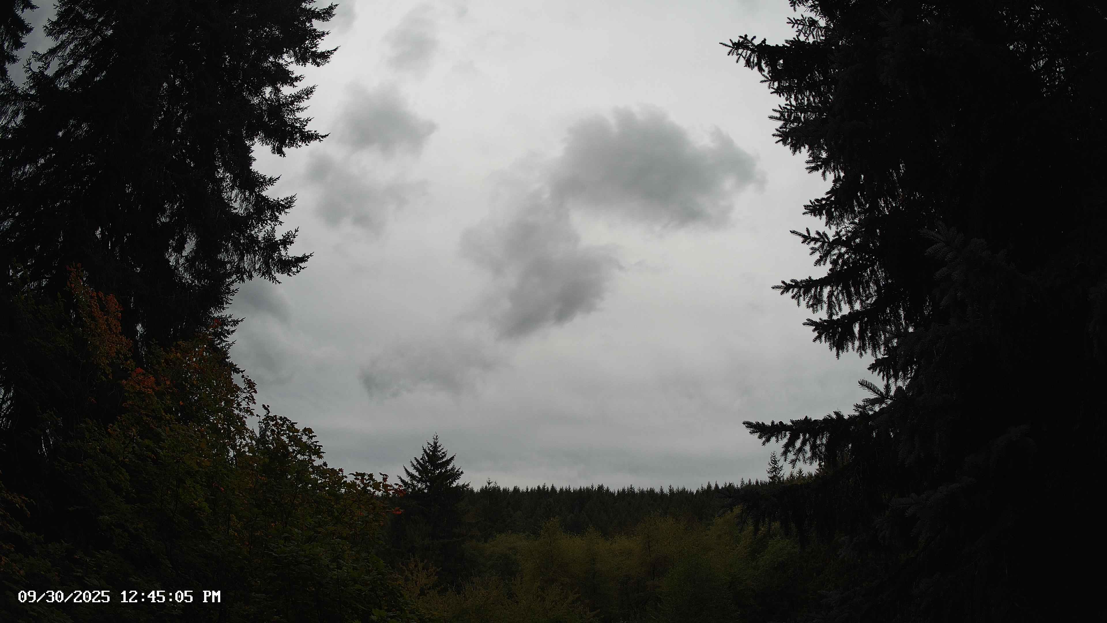 Pacific Northwest skyline timelapse on Sep 30, 2025 at 12:45 PM