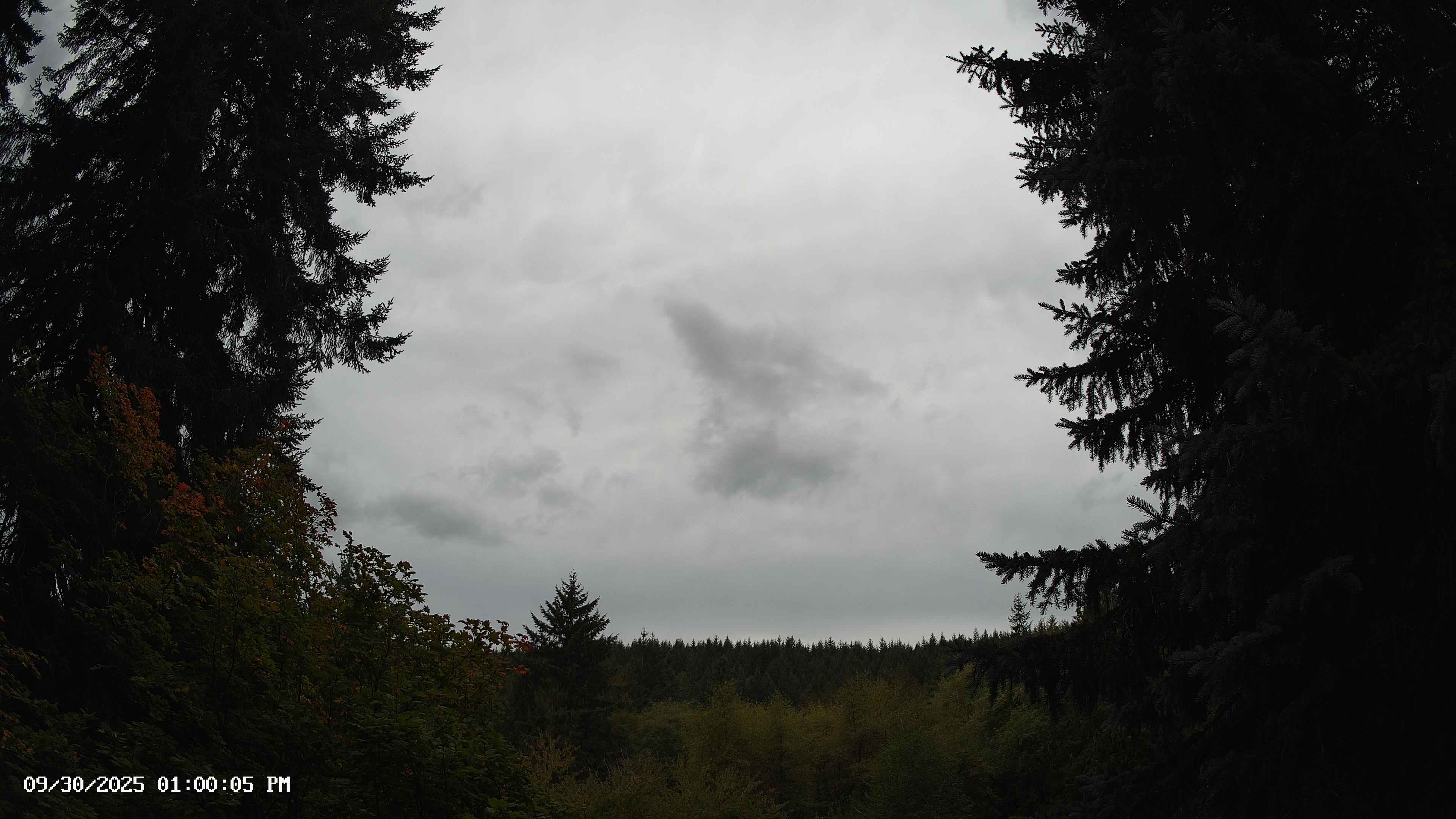 Pacific Northwest skyline timelapse on Sep 30, 2025 at 1:00 PM