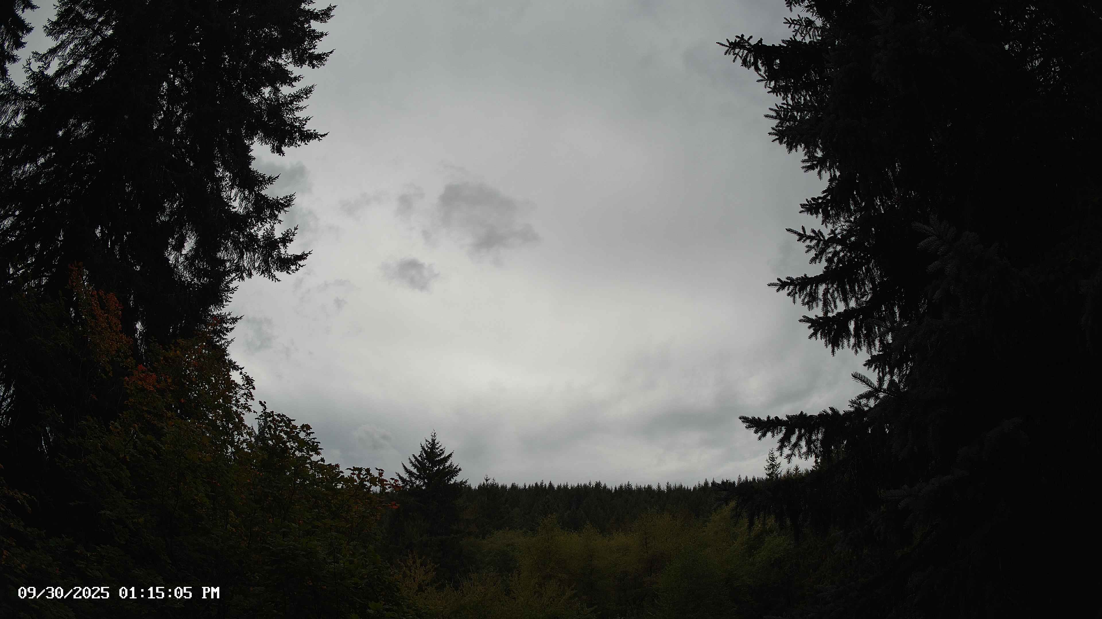 Pacific Northwest skyline timelapse on Sep 30, 2025 at 1:15 PM