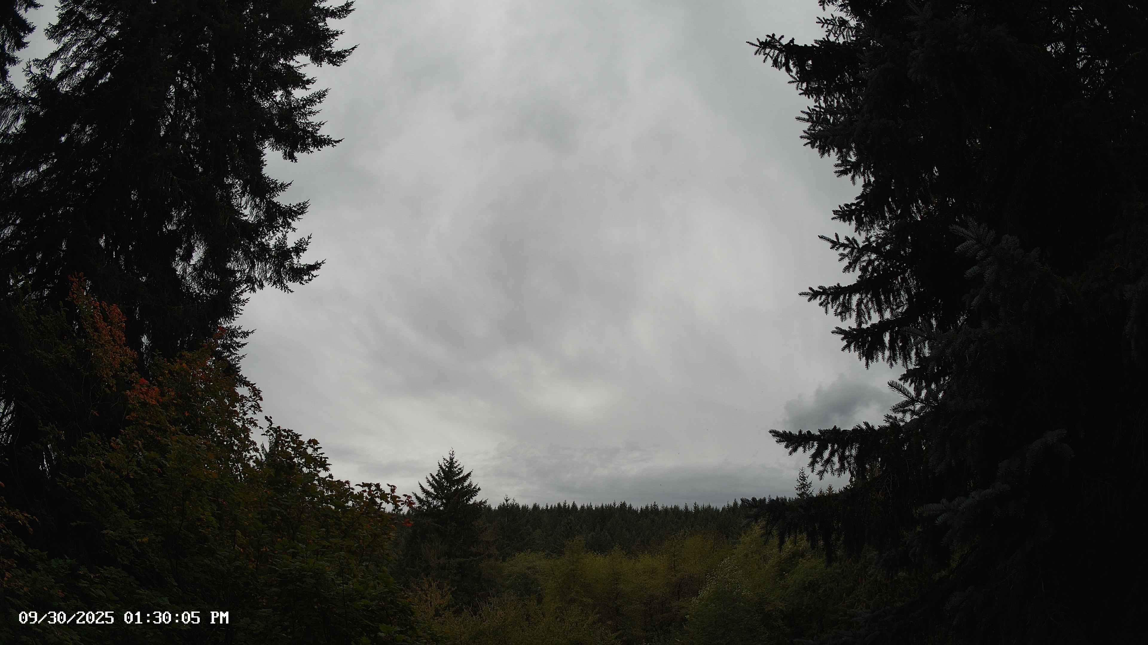 Pacific Northwest skyline timelapse on Sep 30, 2025 at 1:30 PM