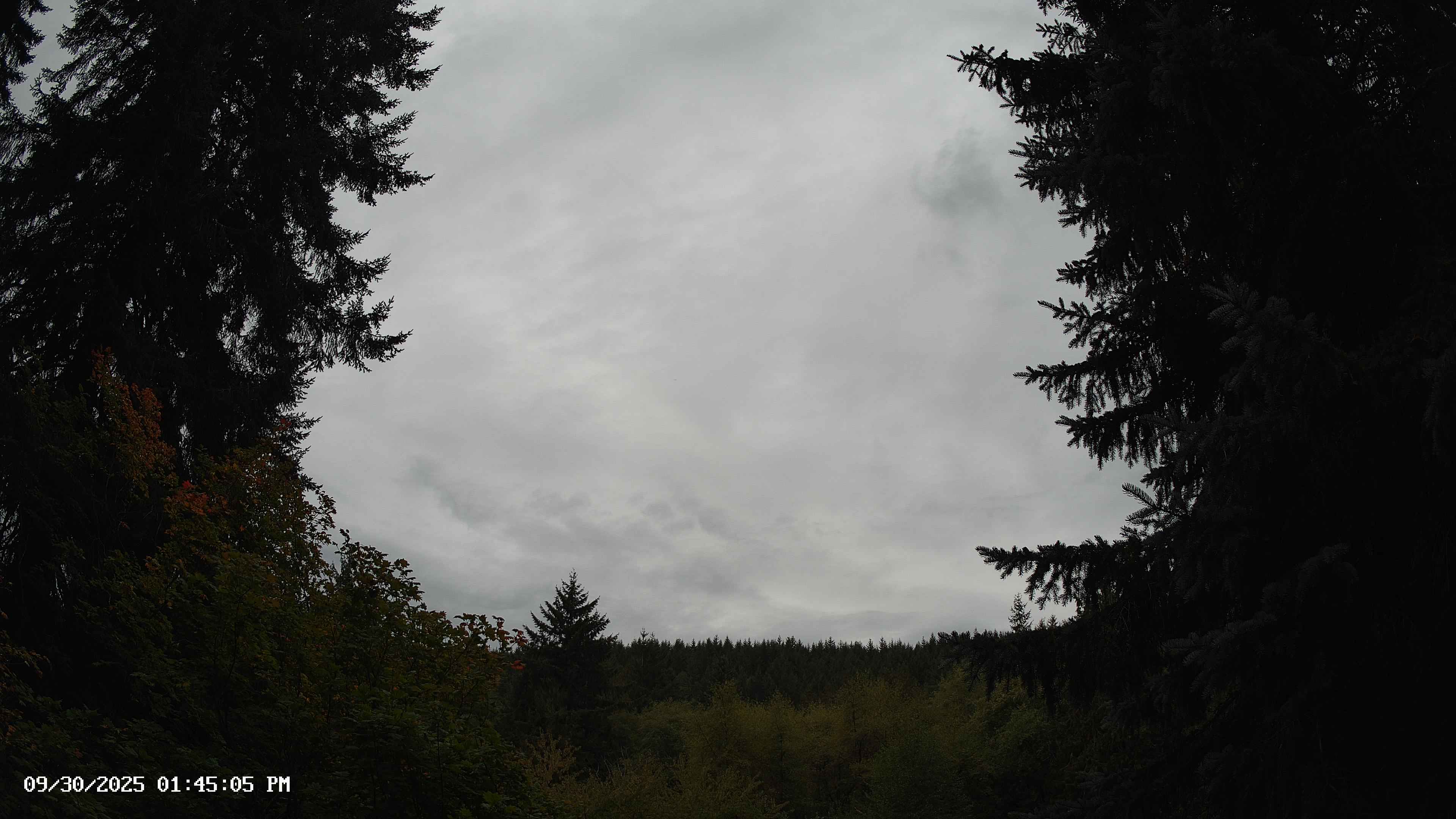 Pacific Northwest skyline timelapse on Sep 30, 2025 at 1:45 PM