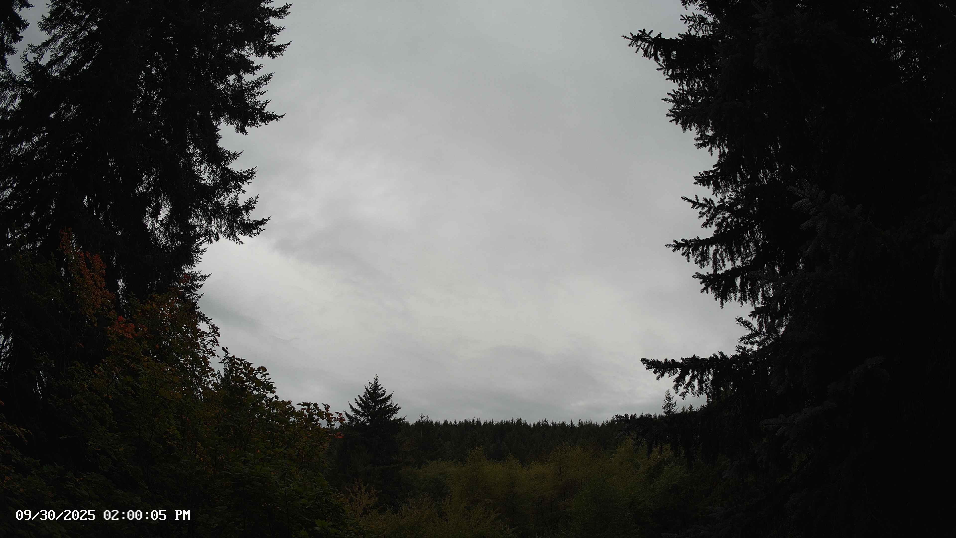 Pacific Northwest skyline timelapse on Sep 30, 2025 at 2:00 PM