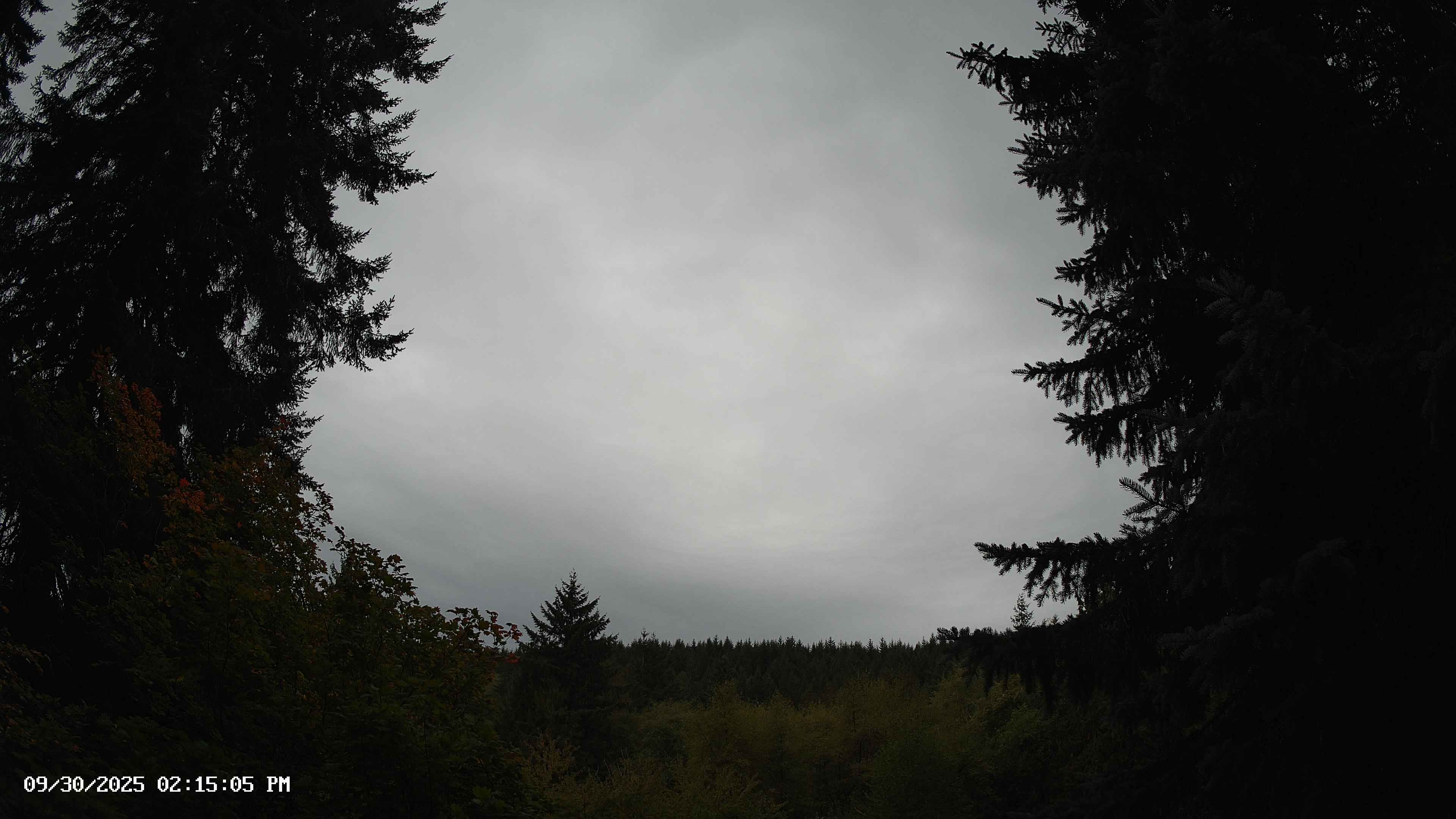 Pacific Northwest skyline timelapse on Sep 30, 2025 at 2:15 PM