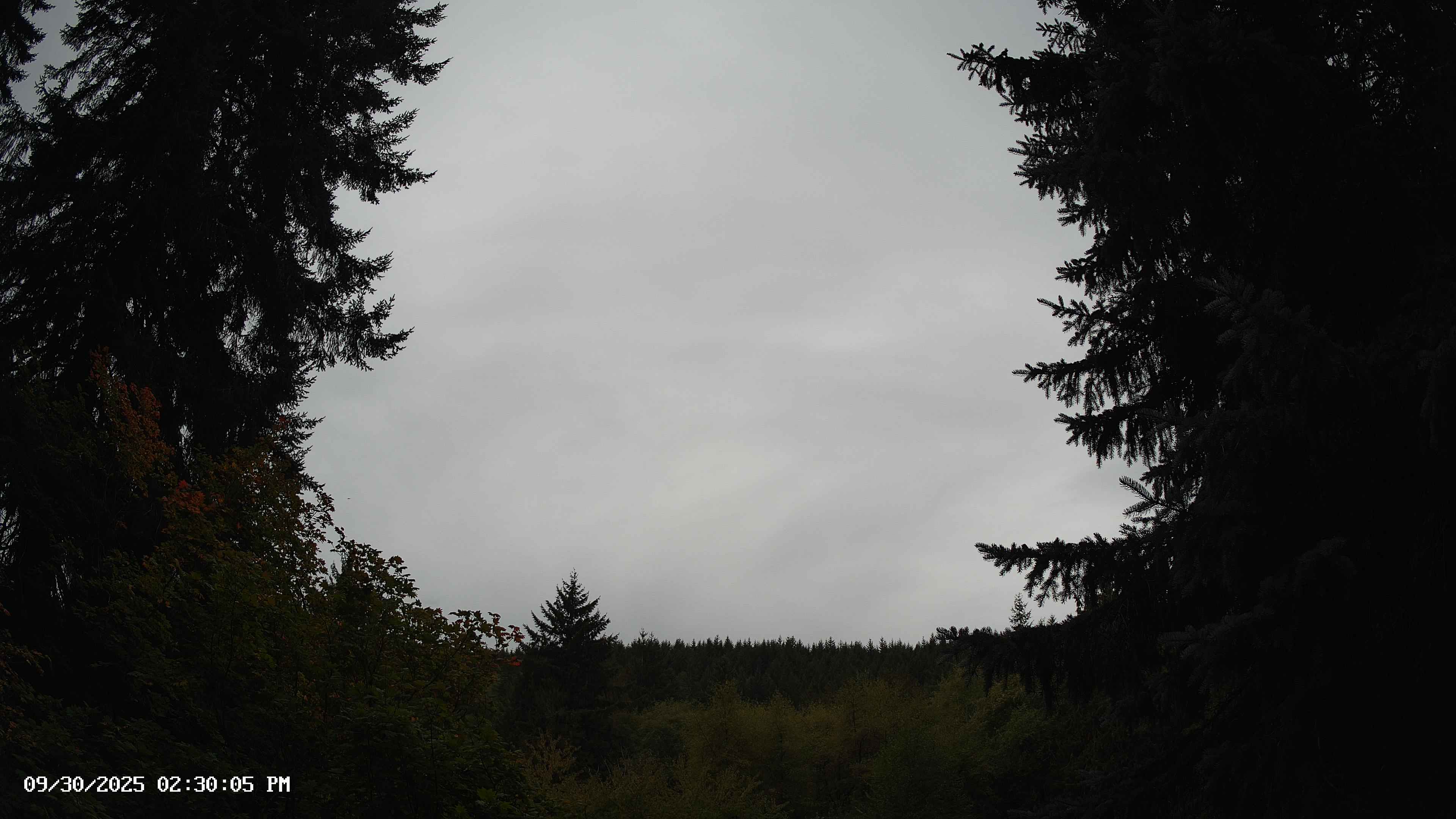 Pacific Northwest skyline timelapse on Sep 30, 2025 at 2:30 PM