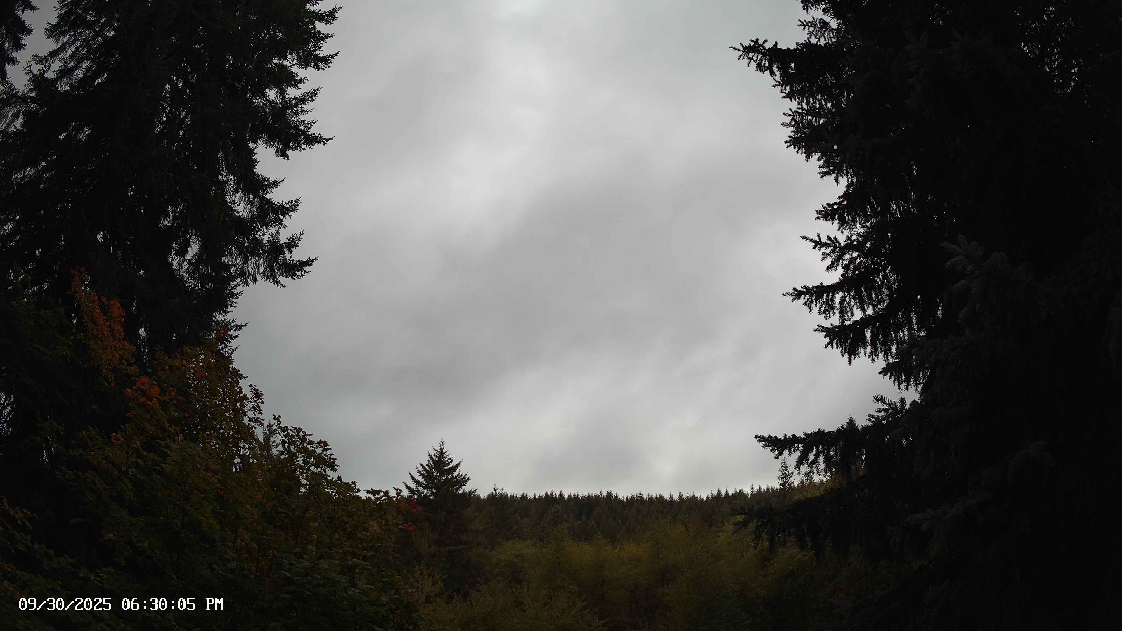 Pacific Northwest skyline timelapse on Sep 30, 2025 at 6:30 PM