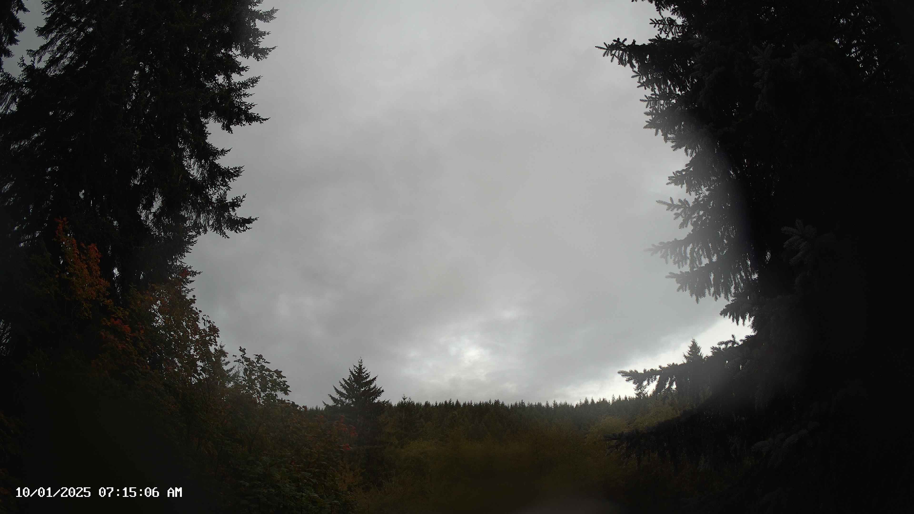 Pacific Northwest skyline timelapse on Oct 01, 2025 at 7:15 AM