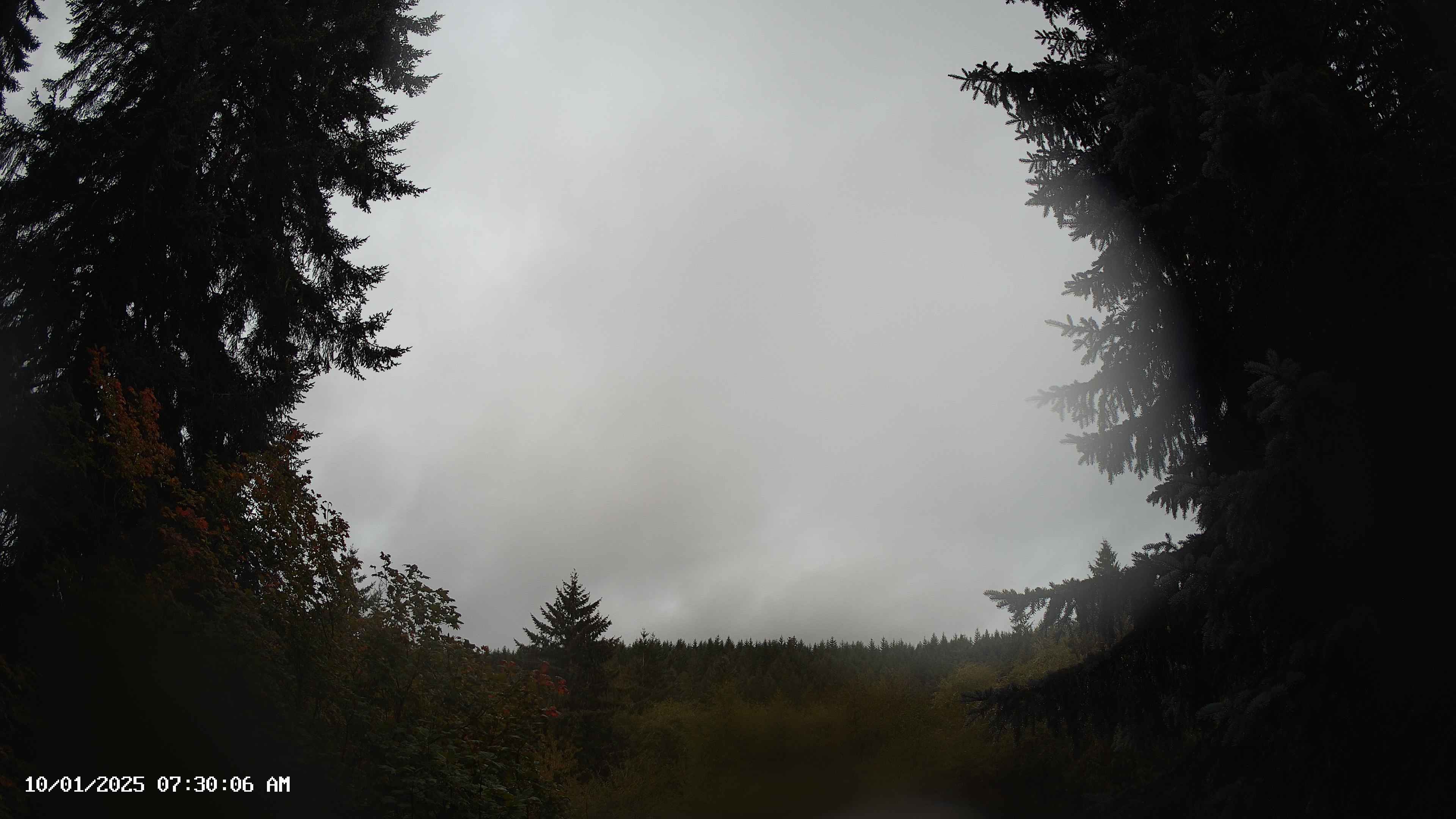 Pacific Northwest skyline timelapse on Oct 01, 2025 at 7:30 AM