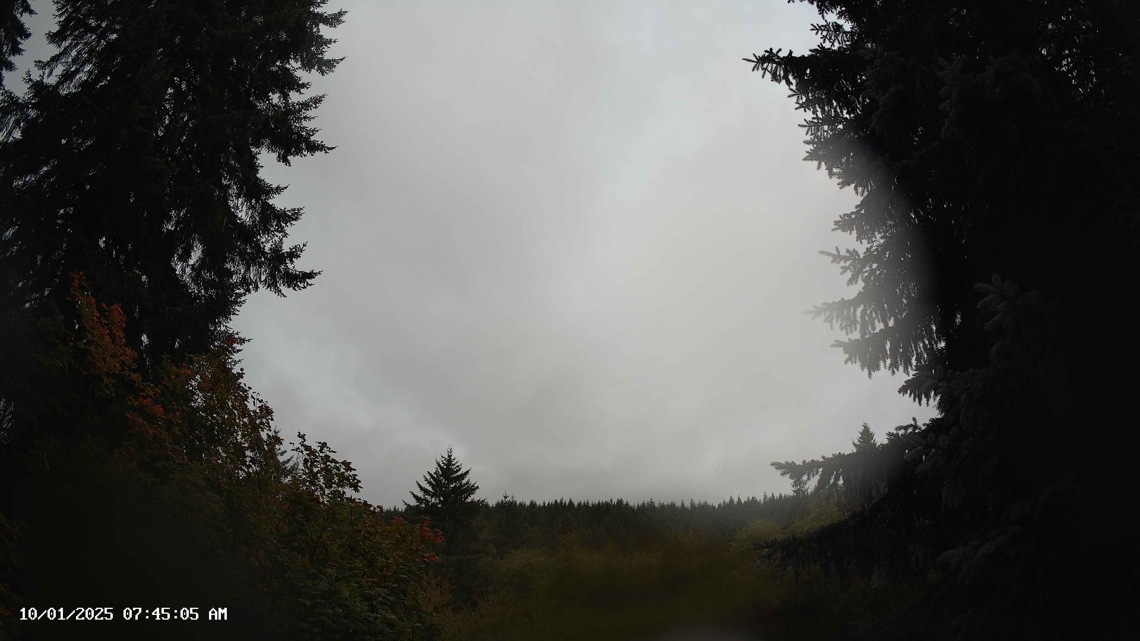 Pacific Northwest skyline timelapse on Oct 01, 2025 at 7:45 AM