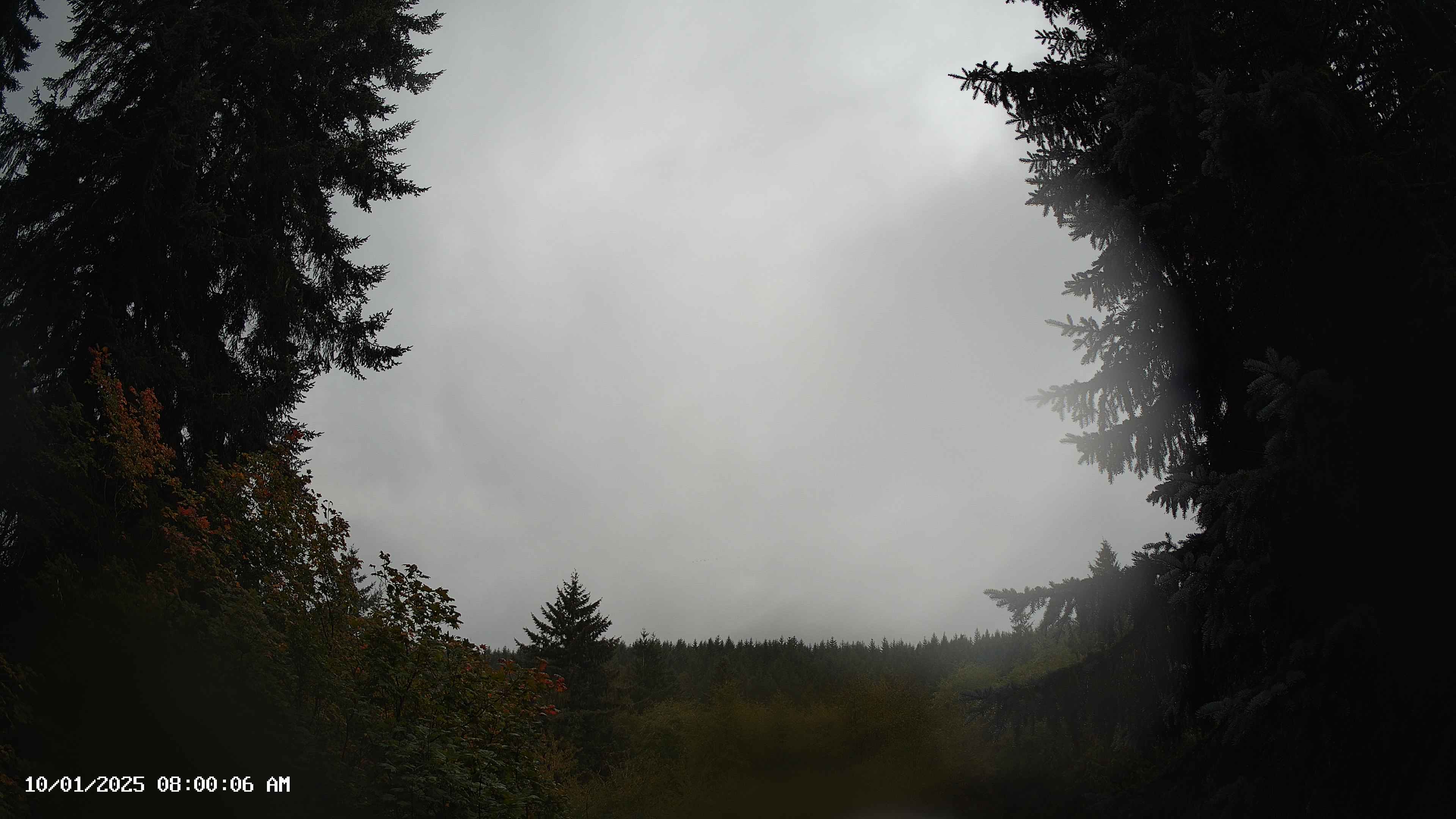 Pacific Northwest skyline timelapse on Oct 01, 2025 at 8:00 AM