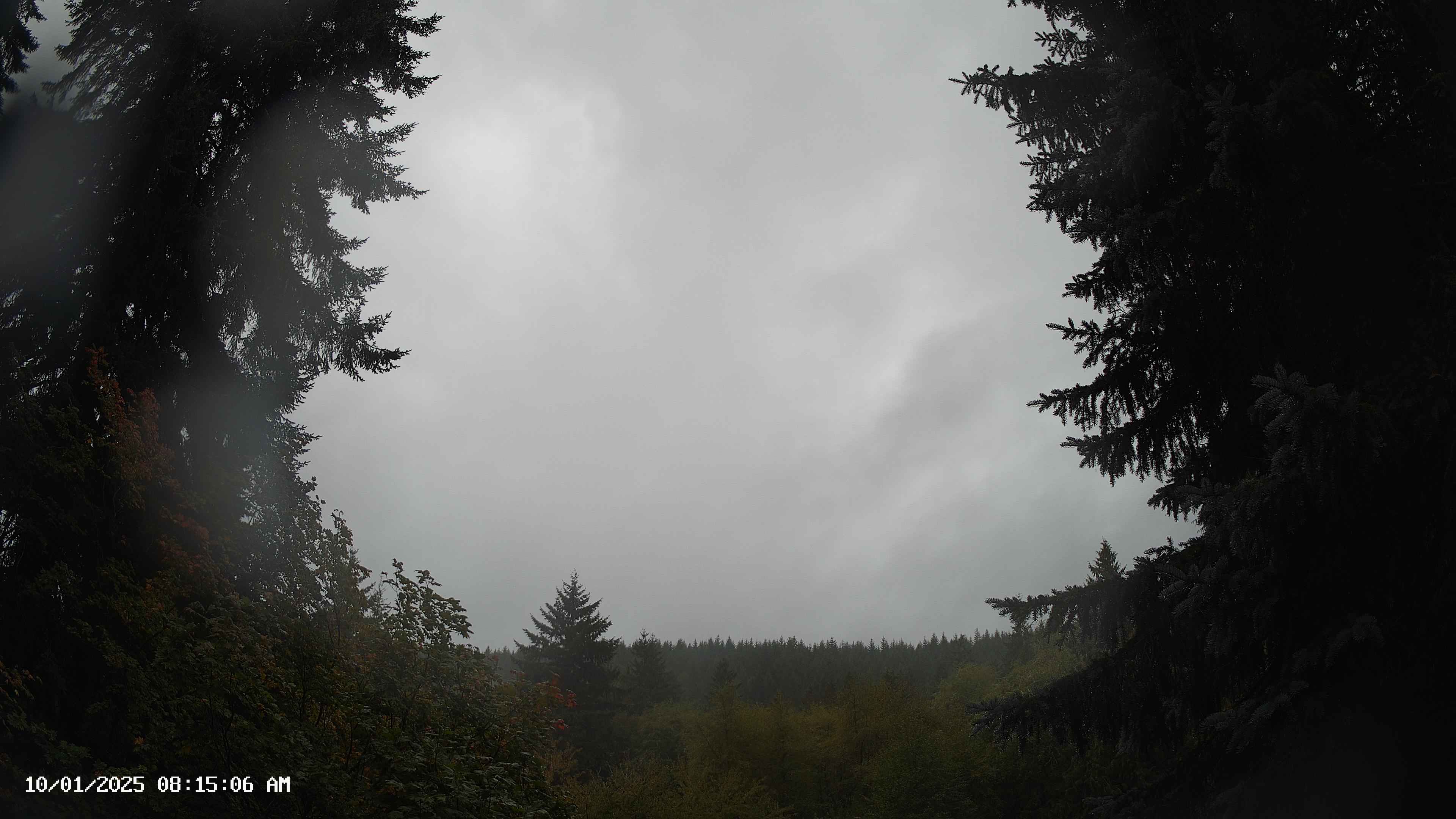 Pacific Northwest skyline timelapse on Oct 01, 2025 at 8:15 AM