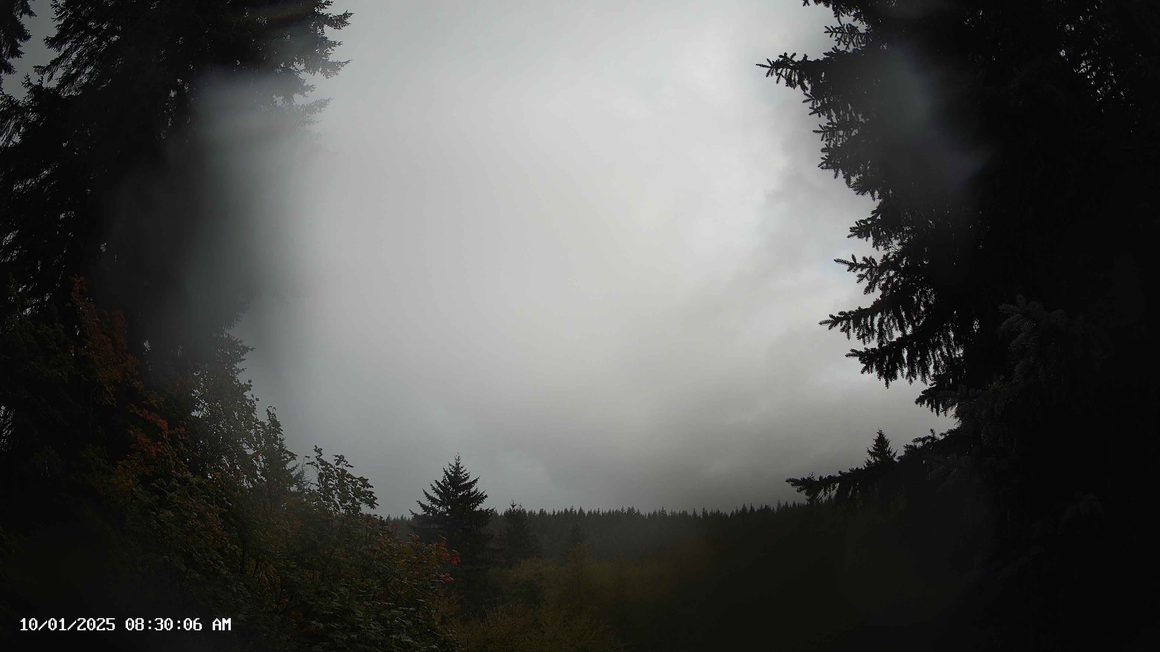 Pacific Northwest skyline timelapse on Oct 01, 2025 at 8:30 AM