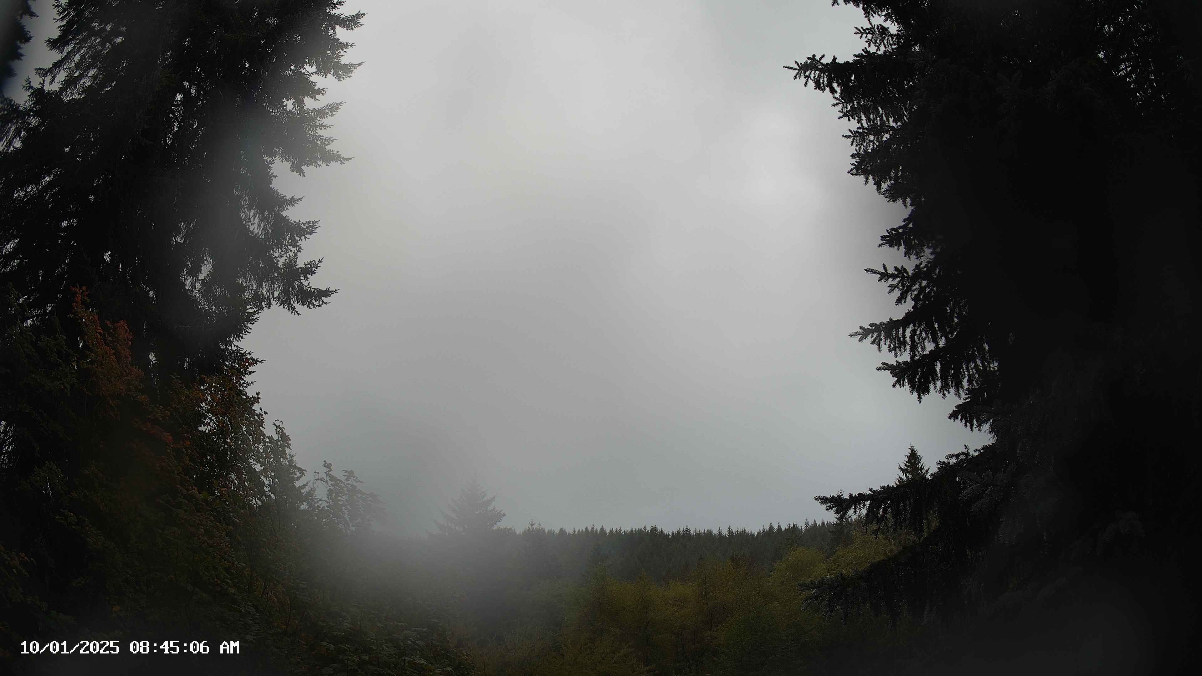 Pacific Northwest skyline timelapse on Oct 01, 2025 at 8:45 AM