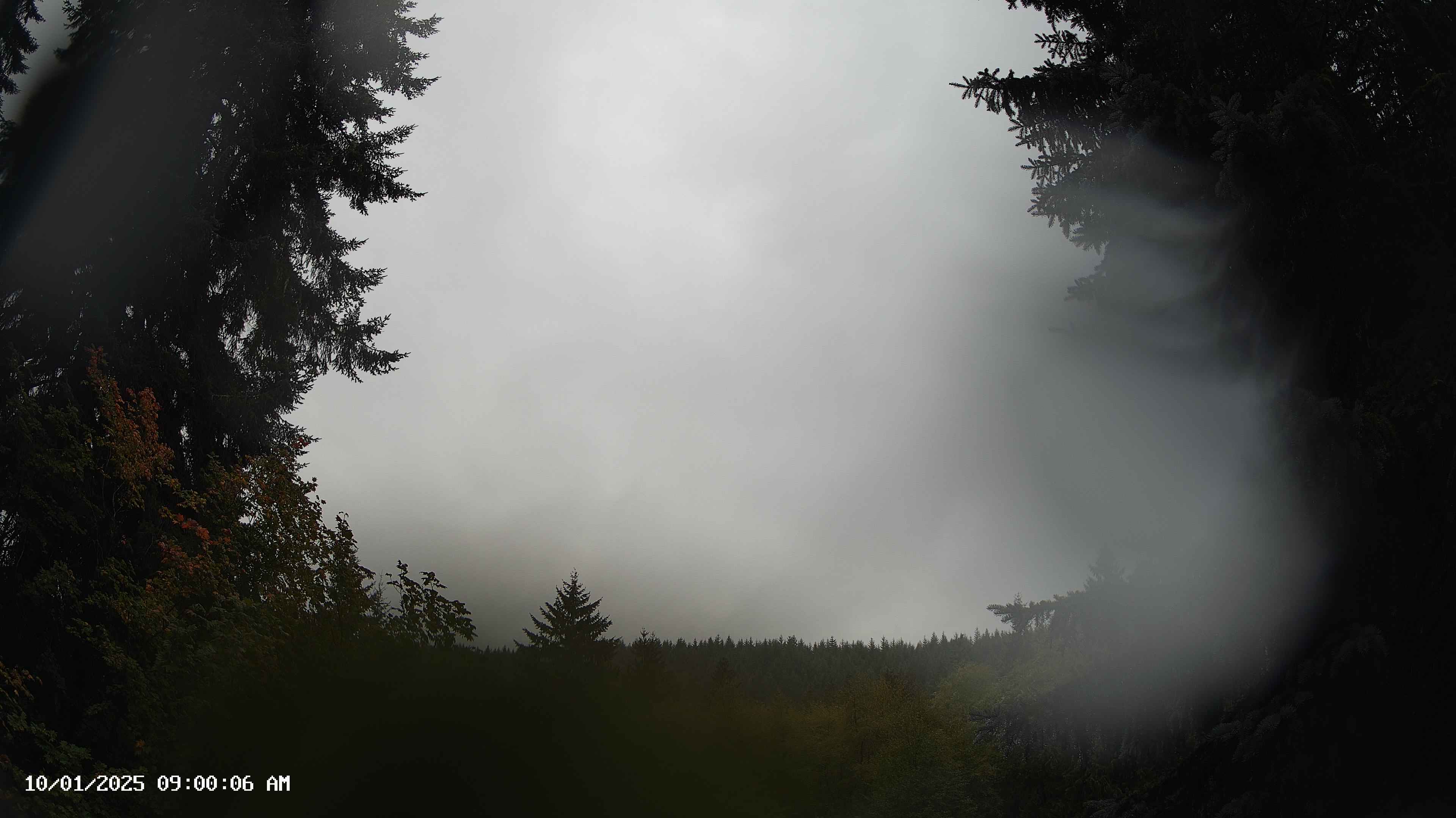 Pacific Northwest skyline timelapse on Oct 01, 2025 at 9:00 AM