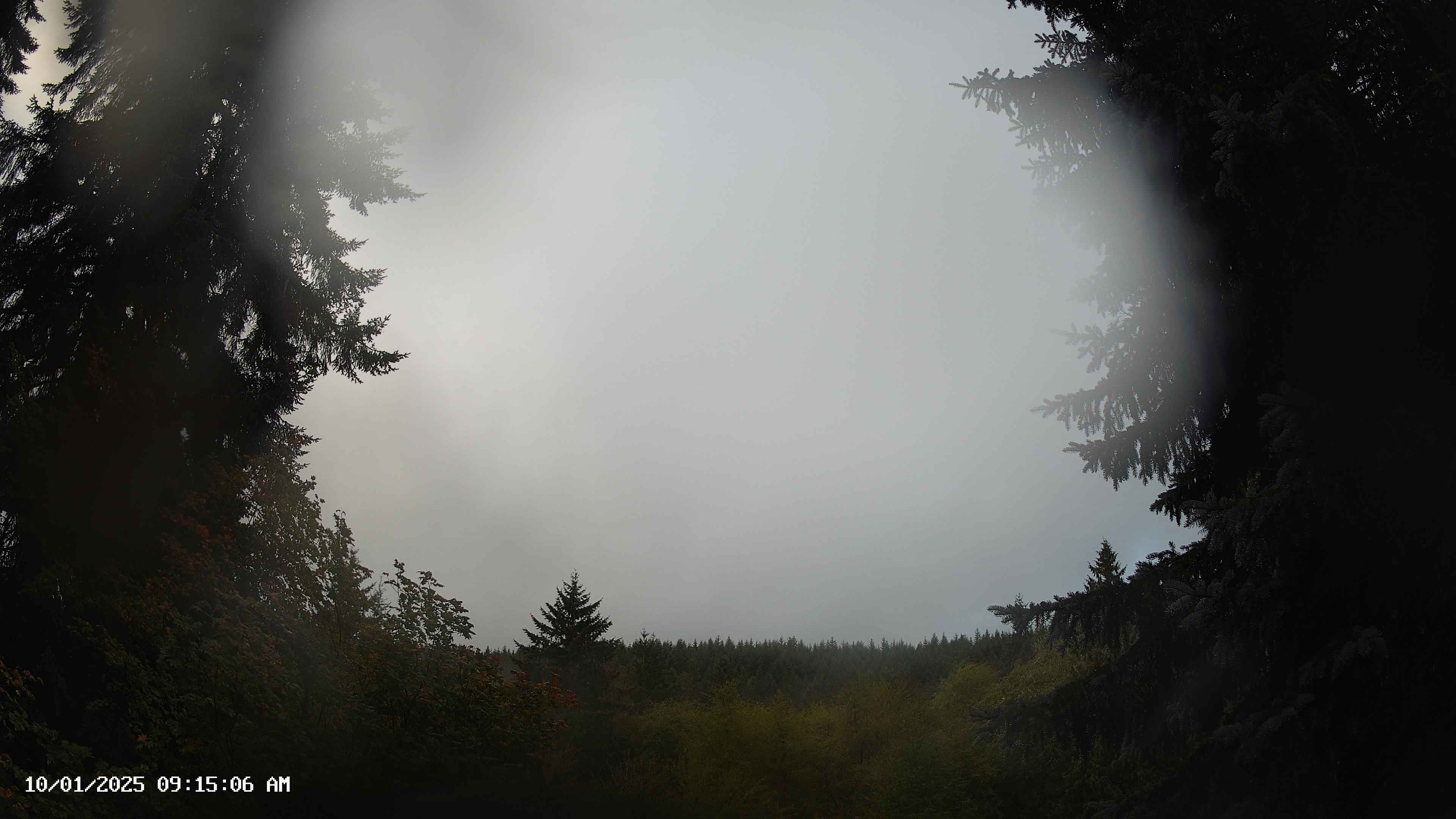 Pacific Northwest skyline timelapse on Oct 01, 2025 at 9:15 AM