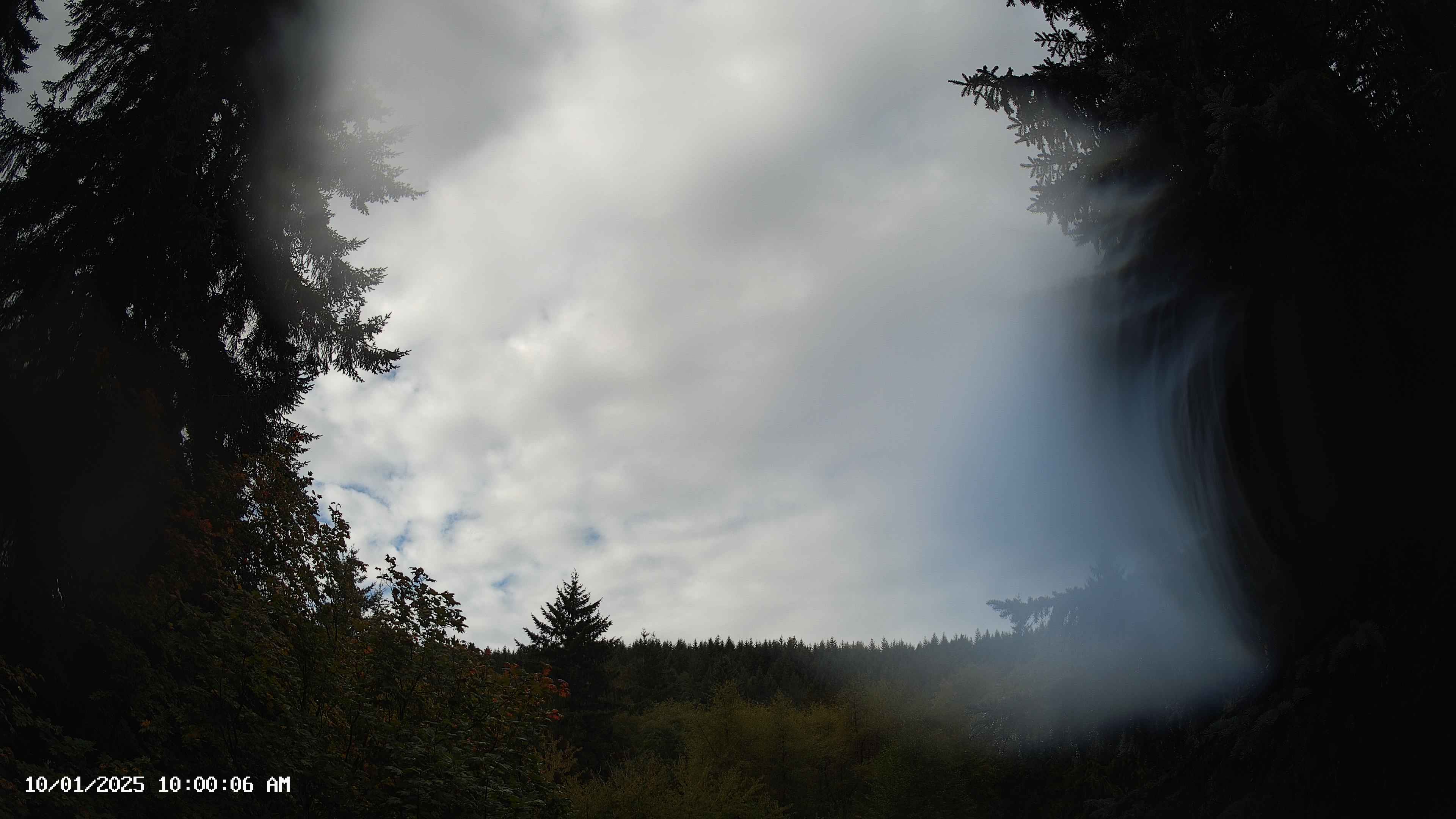 Pacific Northwest skyline timelapse on Oct 01, 2025 at 10:00 AM