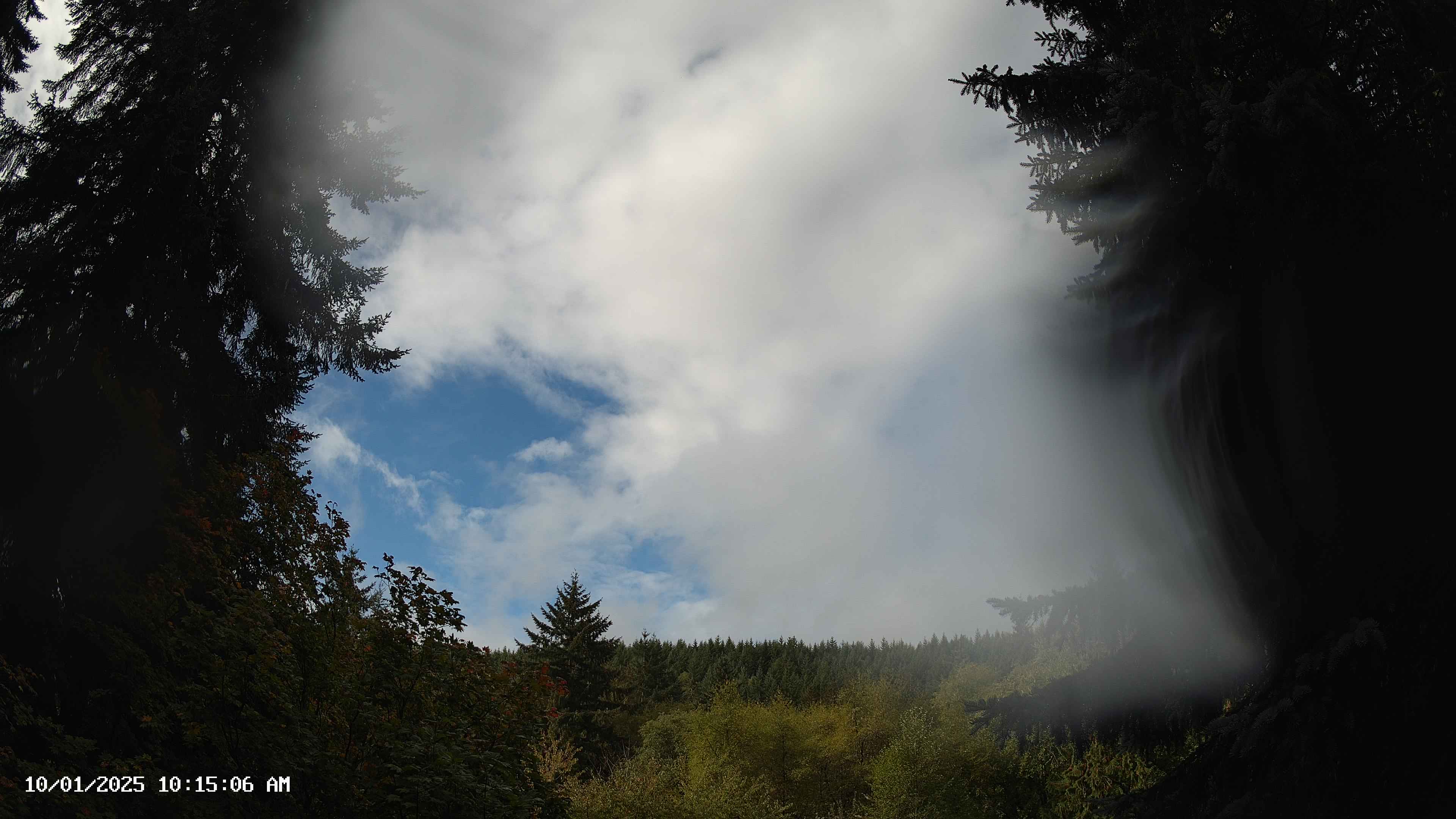 Pacific Northwest skyline timelapse on Oct 01, 2025 at 10:15 AM