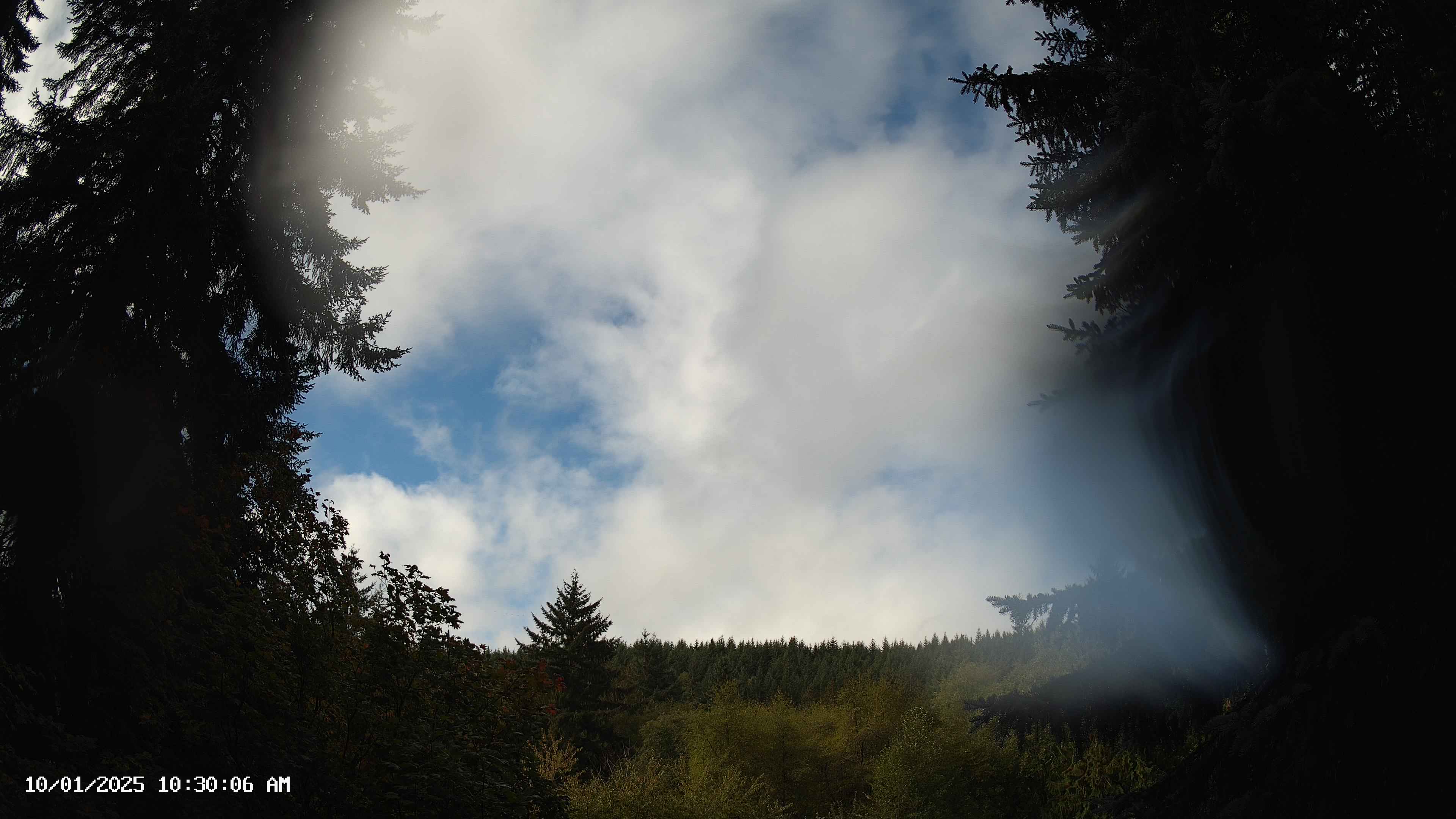 Pacific Northwest skyline timelapse on Oct 01, 2025 at 10:30 AM