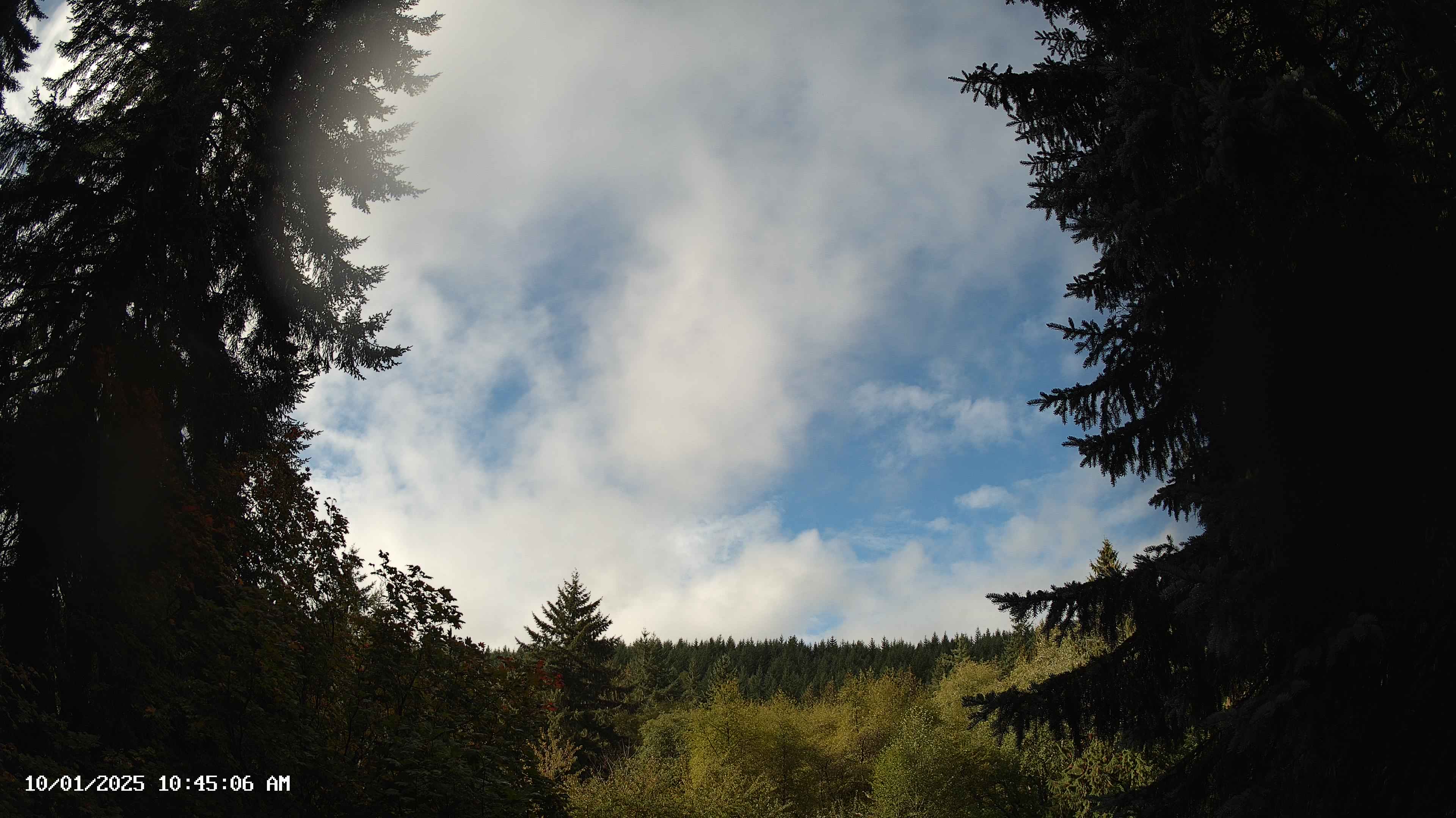 Pacific Northwest skyline timelapse on Oct 01, 2025 at 10:45 AM