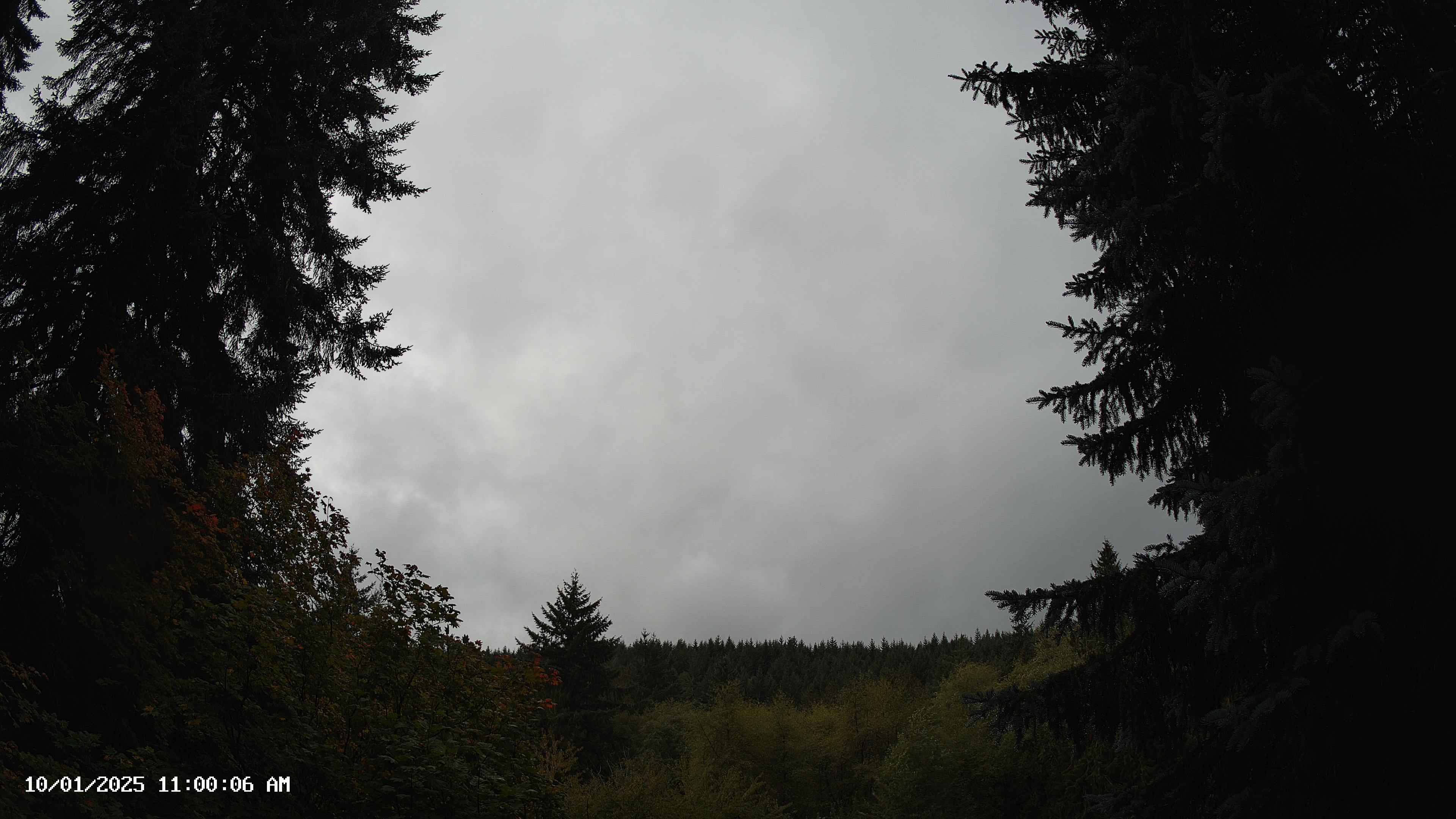 Pacific Northwest skyline timelapse on Oct 01, 2025 at 11:00 AM