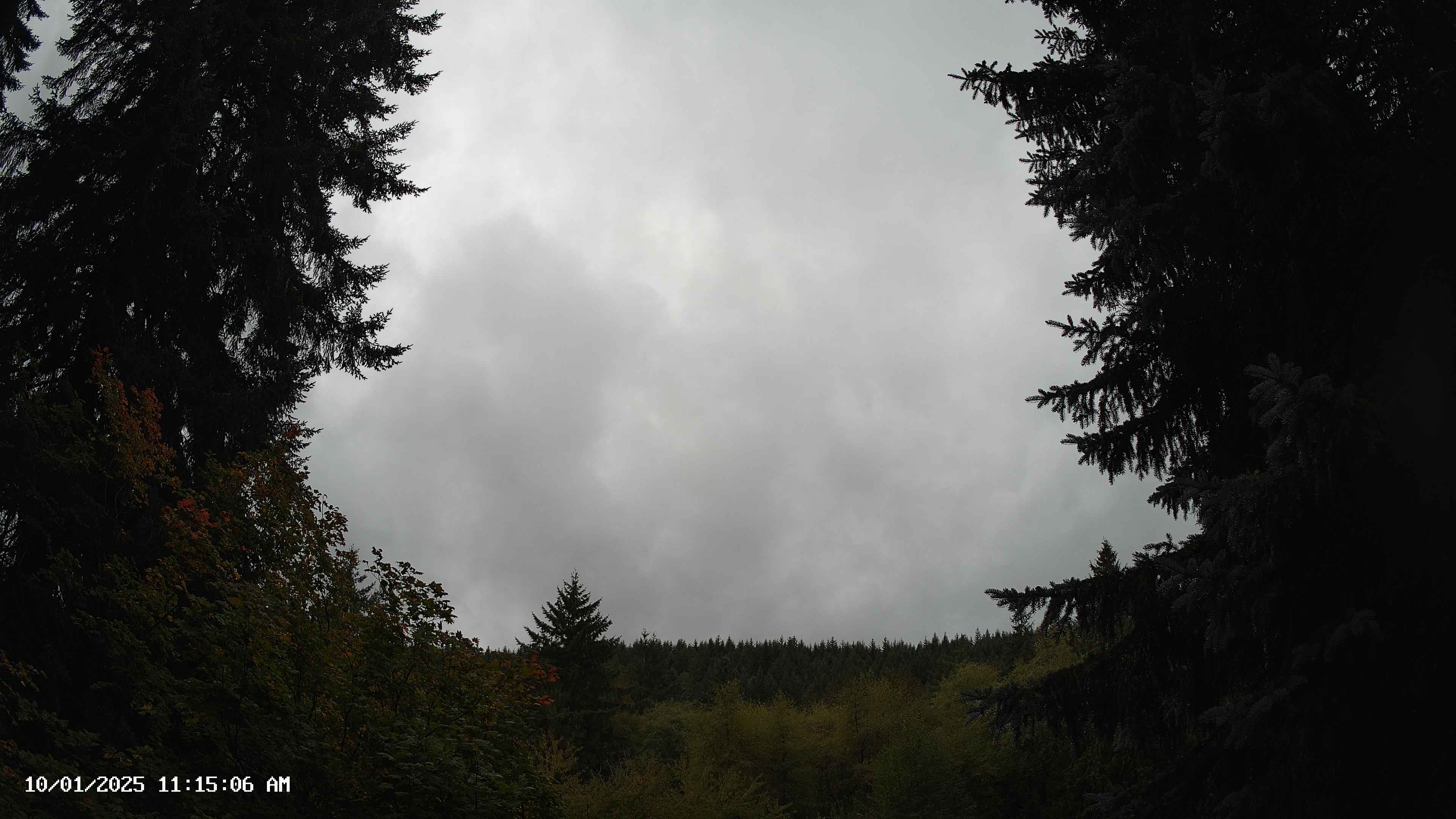 Pacific Northwest skyline timelapse on Oct 01, 2025 at 11:15 AM