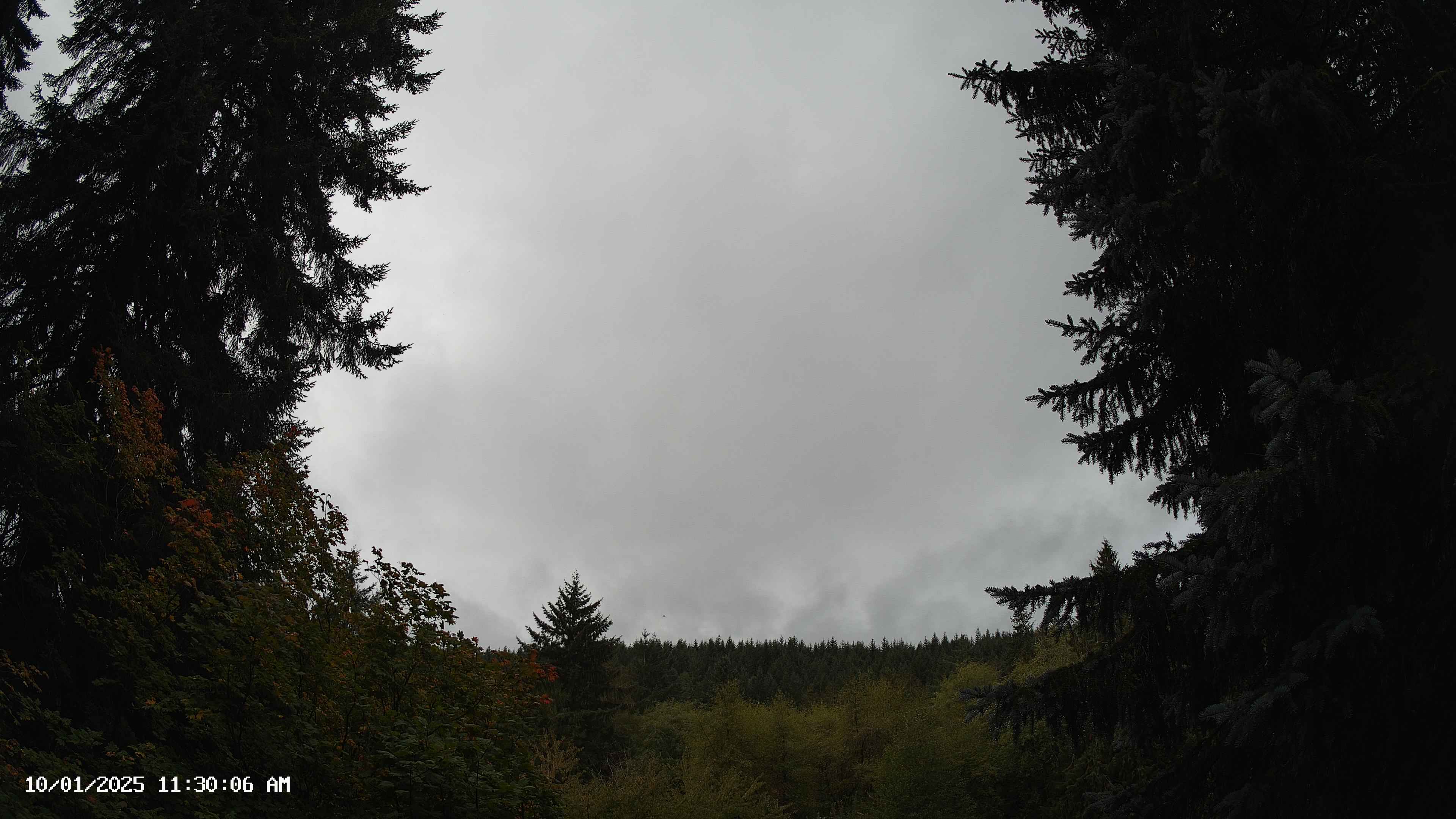 Pacific Northwest skyline timelapse on Oct 01, 2025 at 11:30 AM