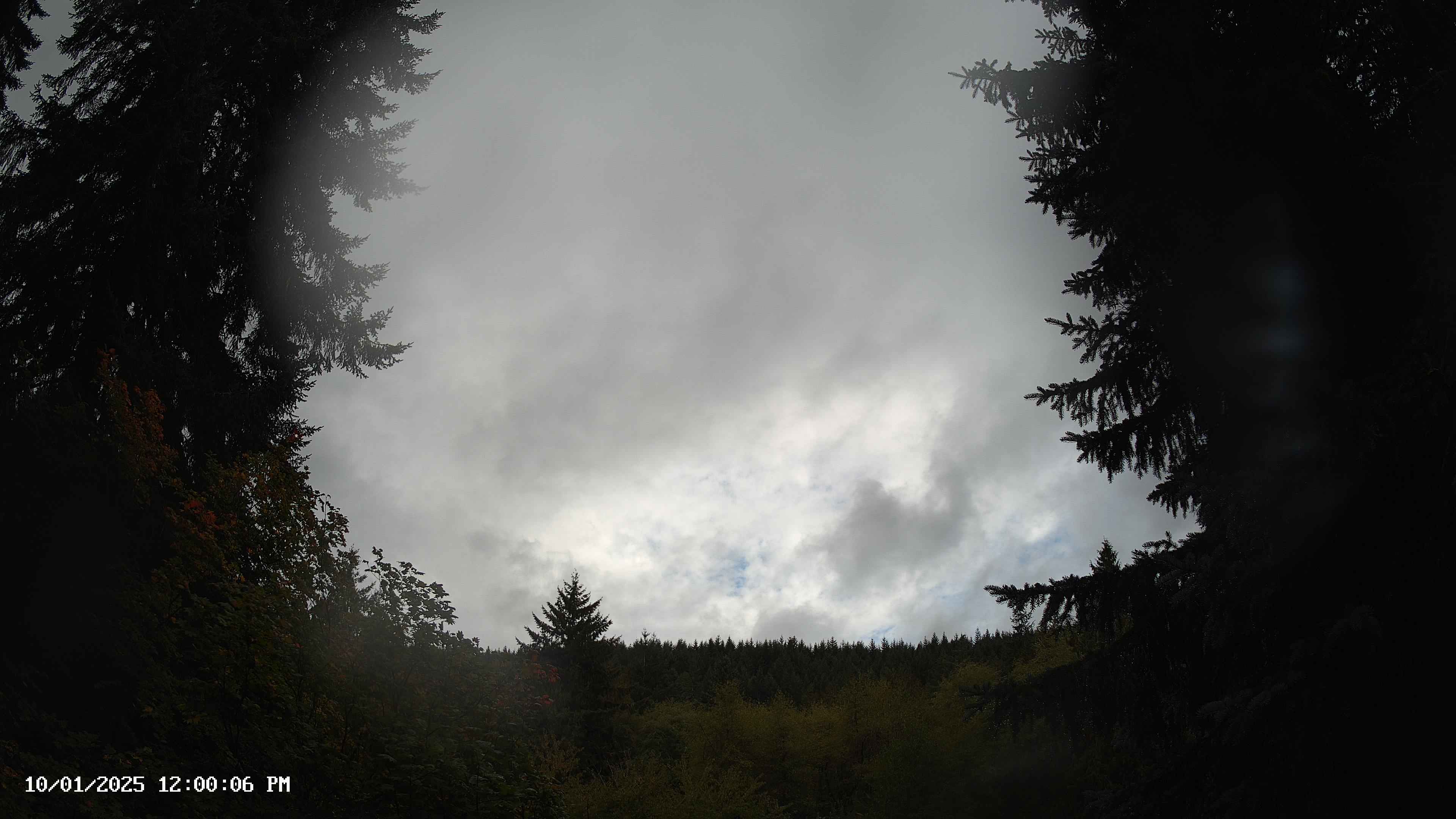 Pacific Northwest skyline timelapse on Oct 01, 2025 at 12:00 PM